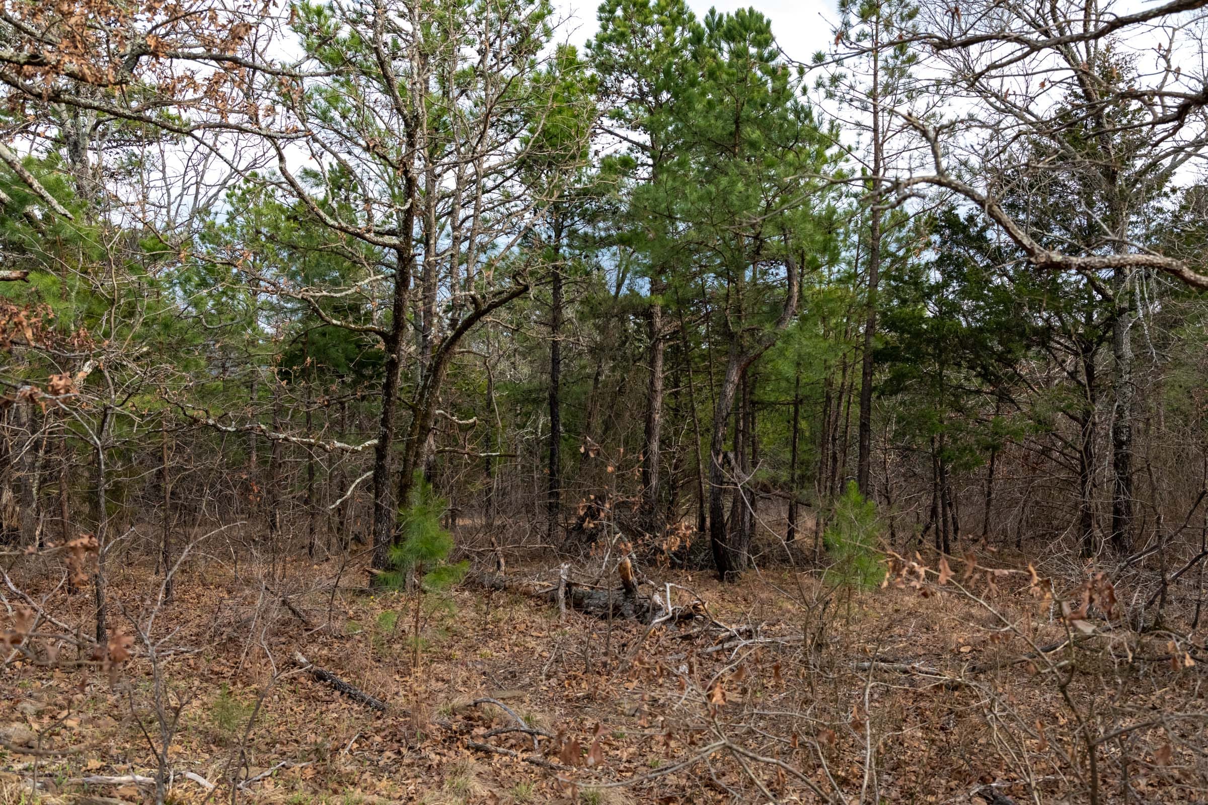 Stone Bridge Phase III Tract 179 photo 9
