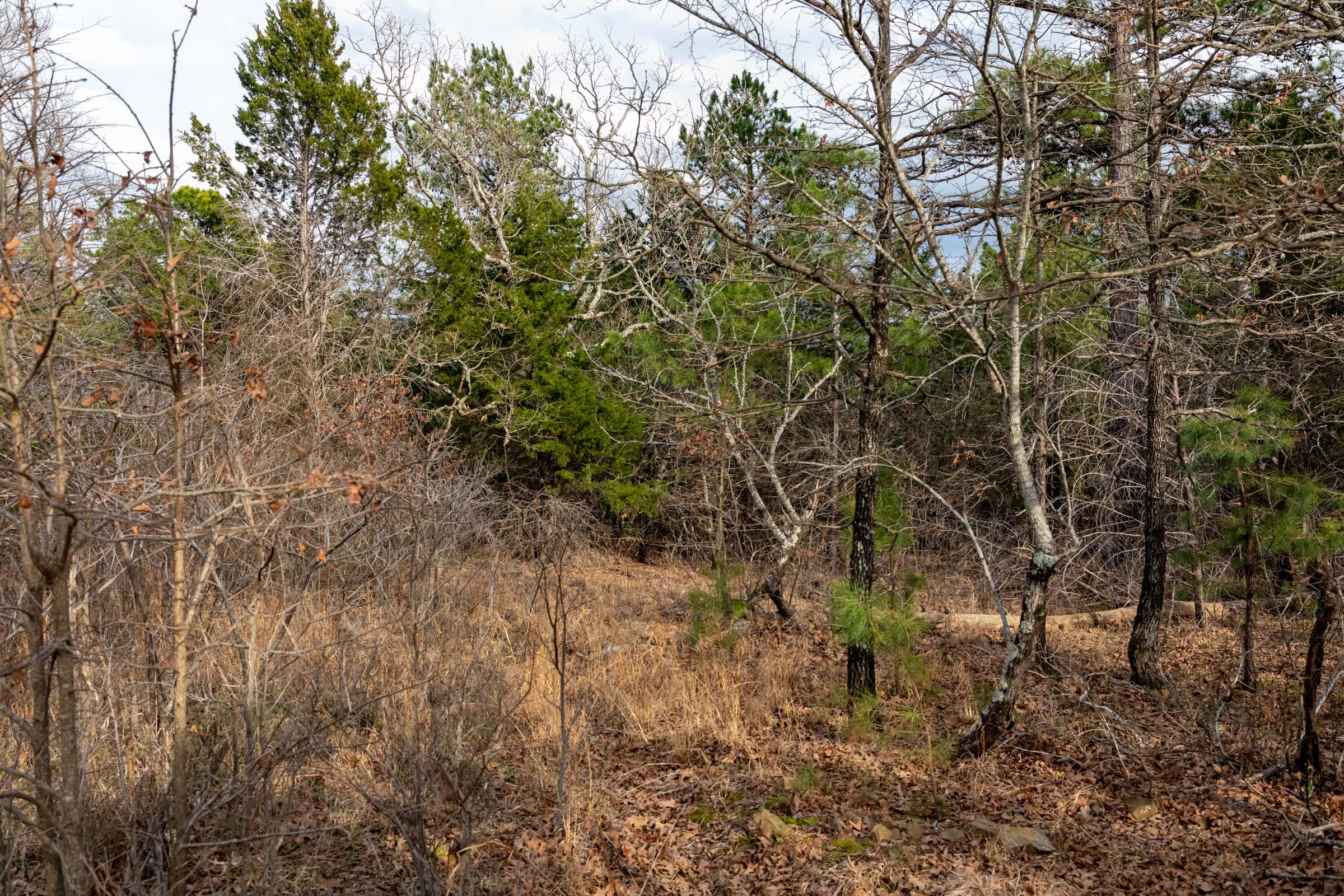 Stone Bridge Phase III Tract 179 photo 10