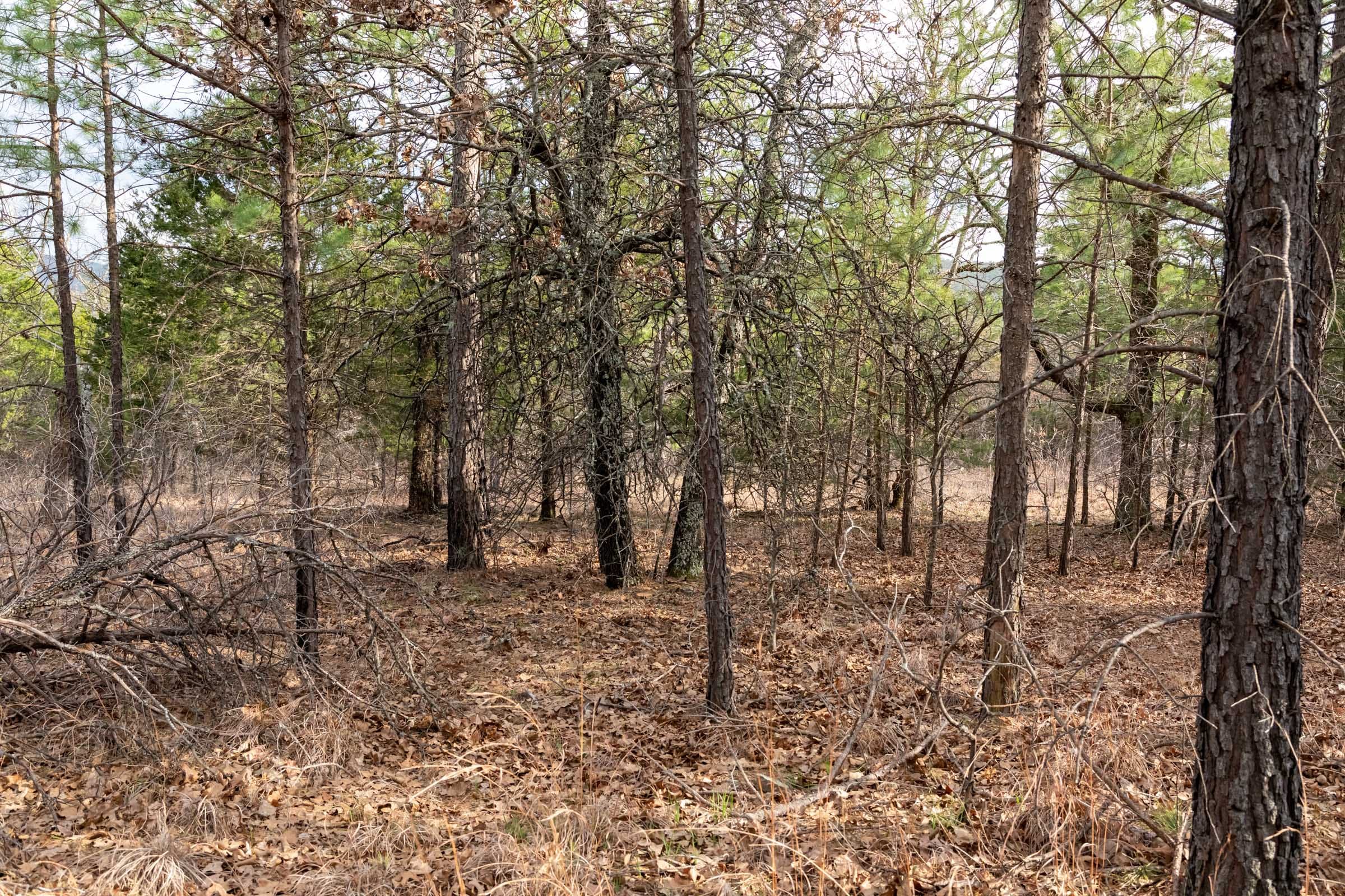 Stone Bridge Phase III Tract 179 photo 12