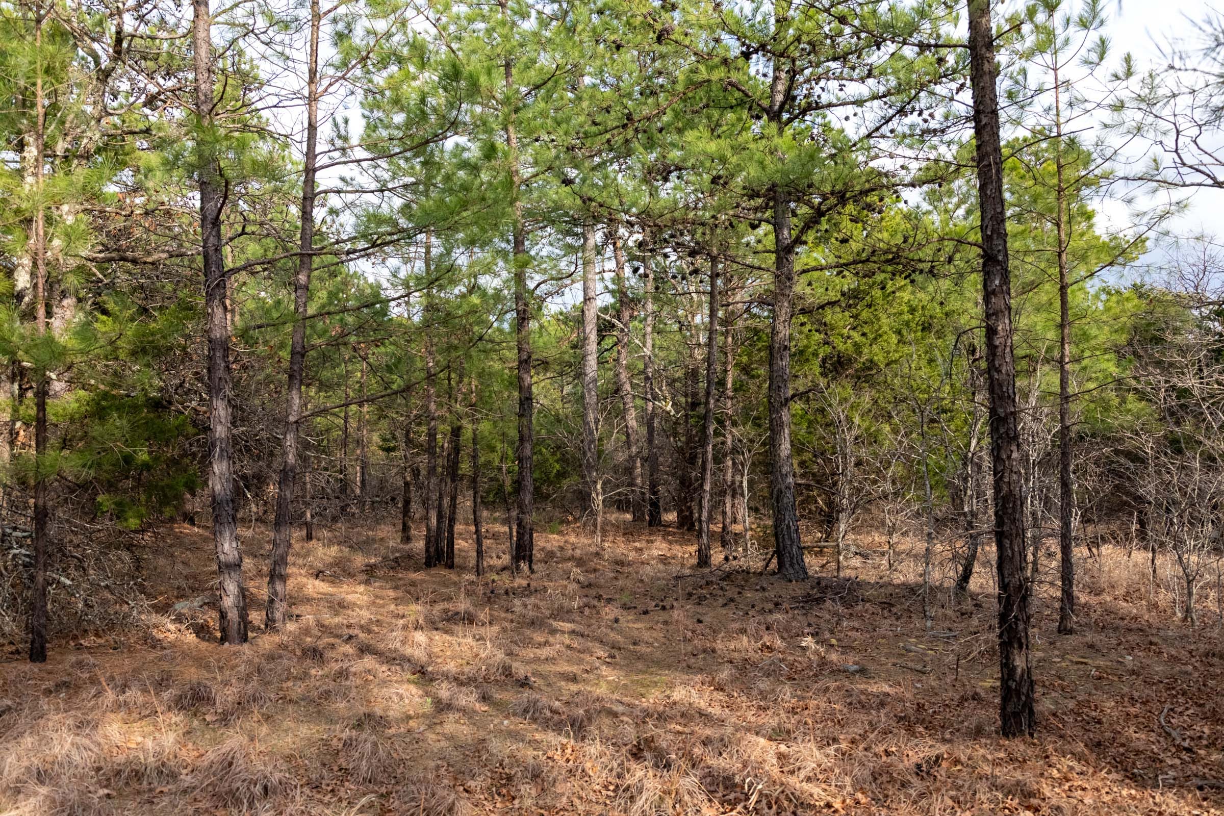 Stone Bridge Phase III Tract 179 photo 13