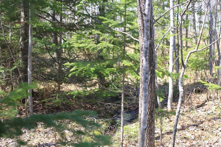 Abby Point Tract 6 photo 3