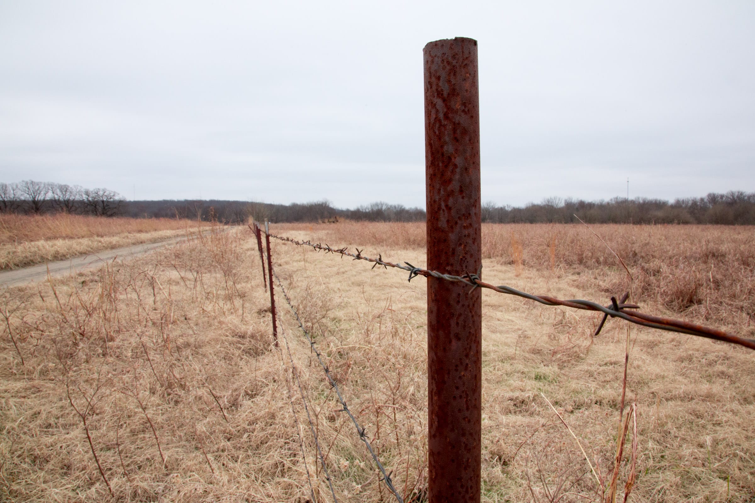 Canadian Plains Tract 31 photo 2