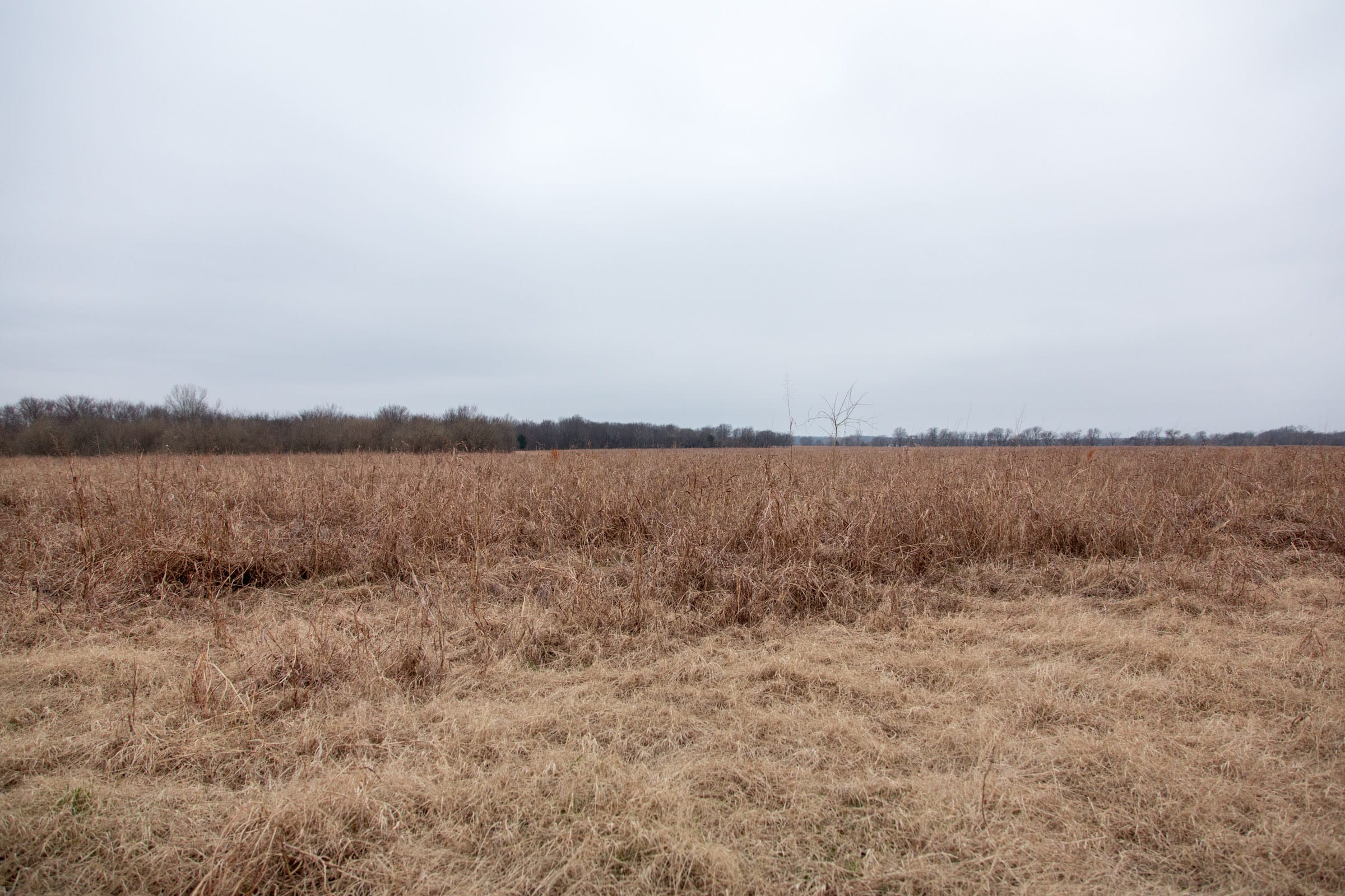 Canadian Plains Tract 31 photo 3