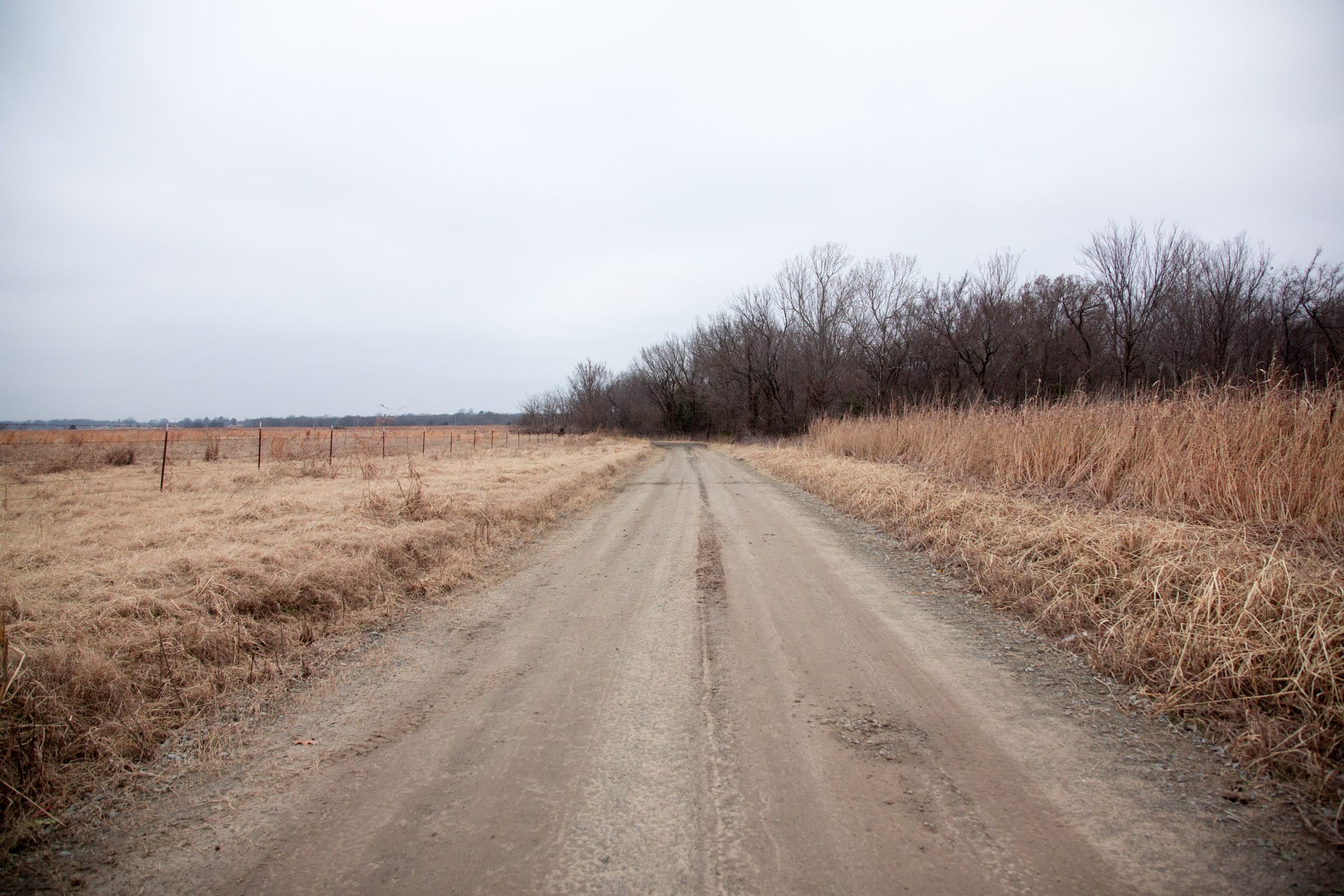 Canadian Plains Tract 31 photo 1