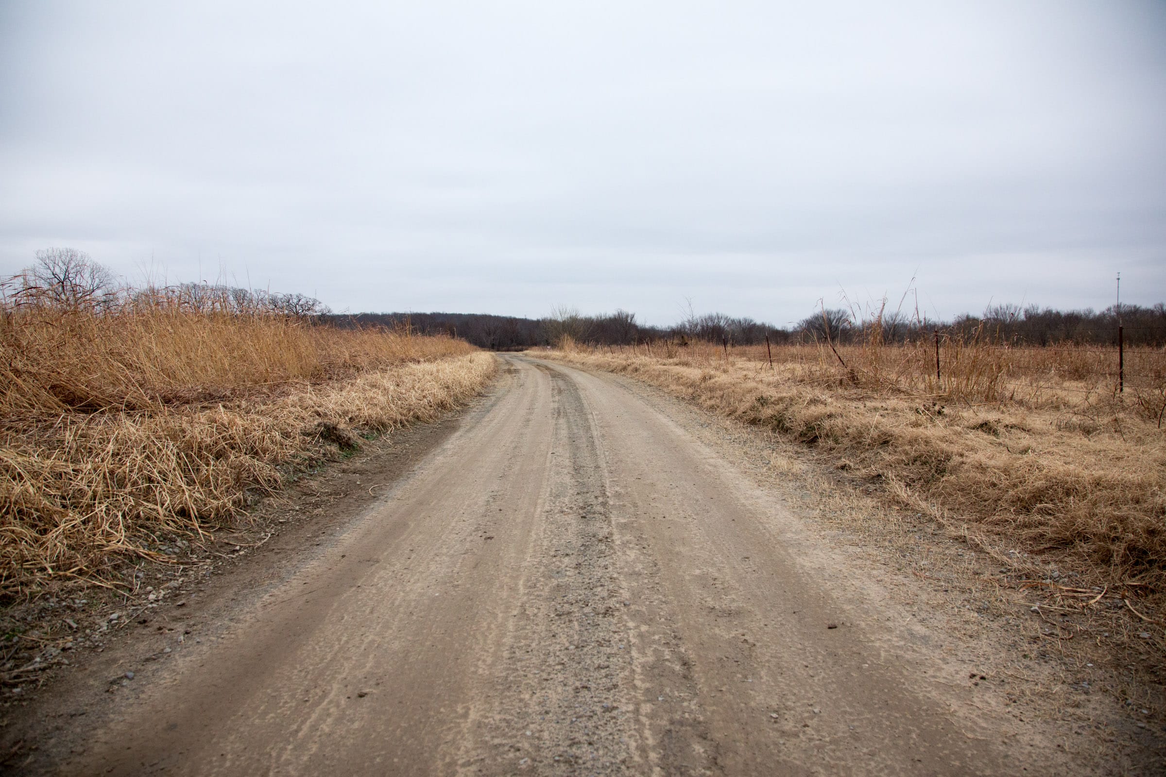 Canadian Plains Tract 31 photo 8