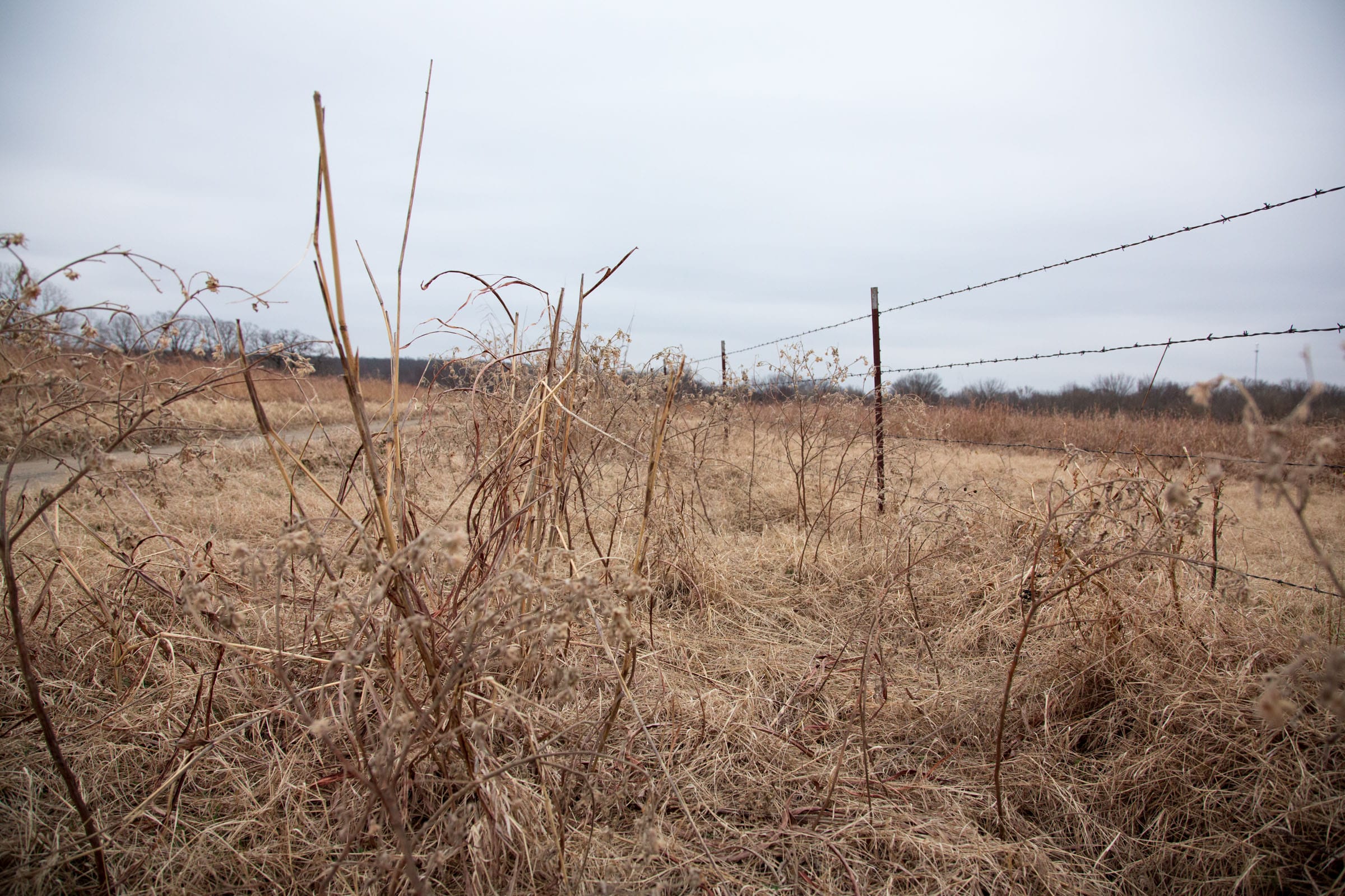 Canadian Plains Tract 31 photo 4