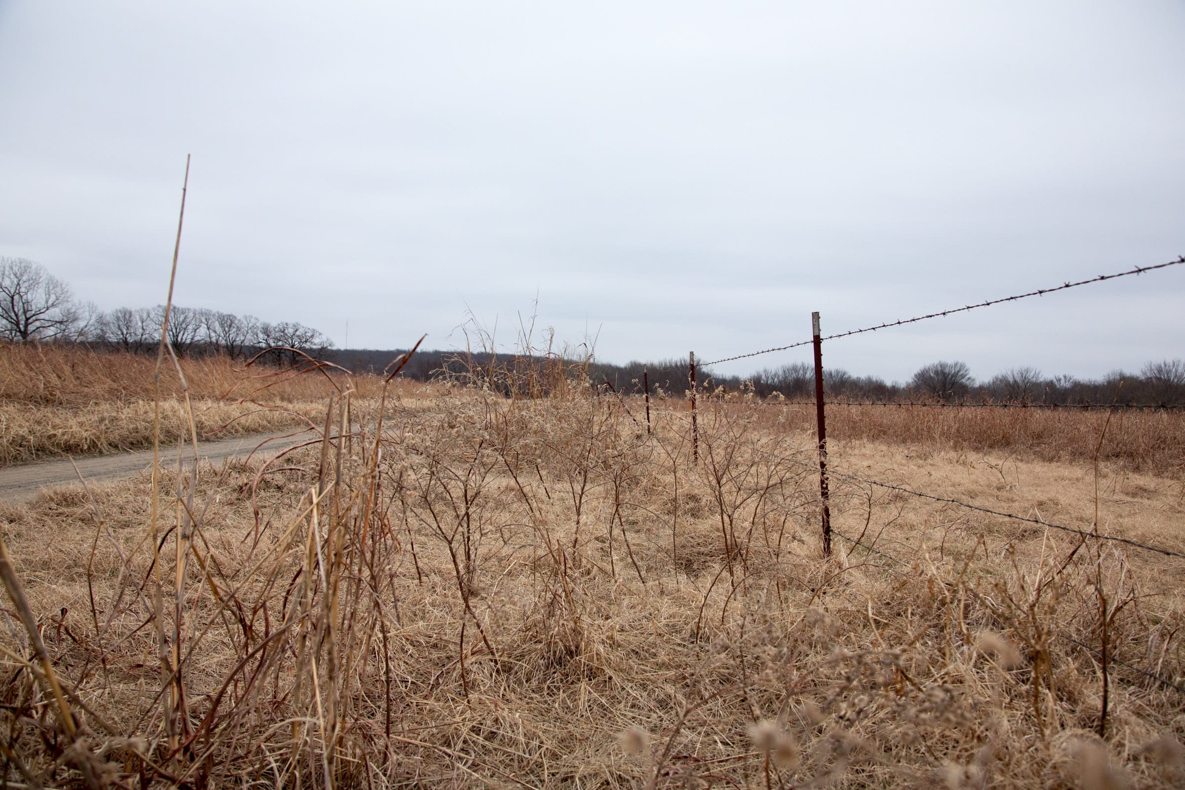 Canadian Plains Tract 31 photo 5