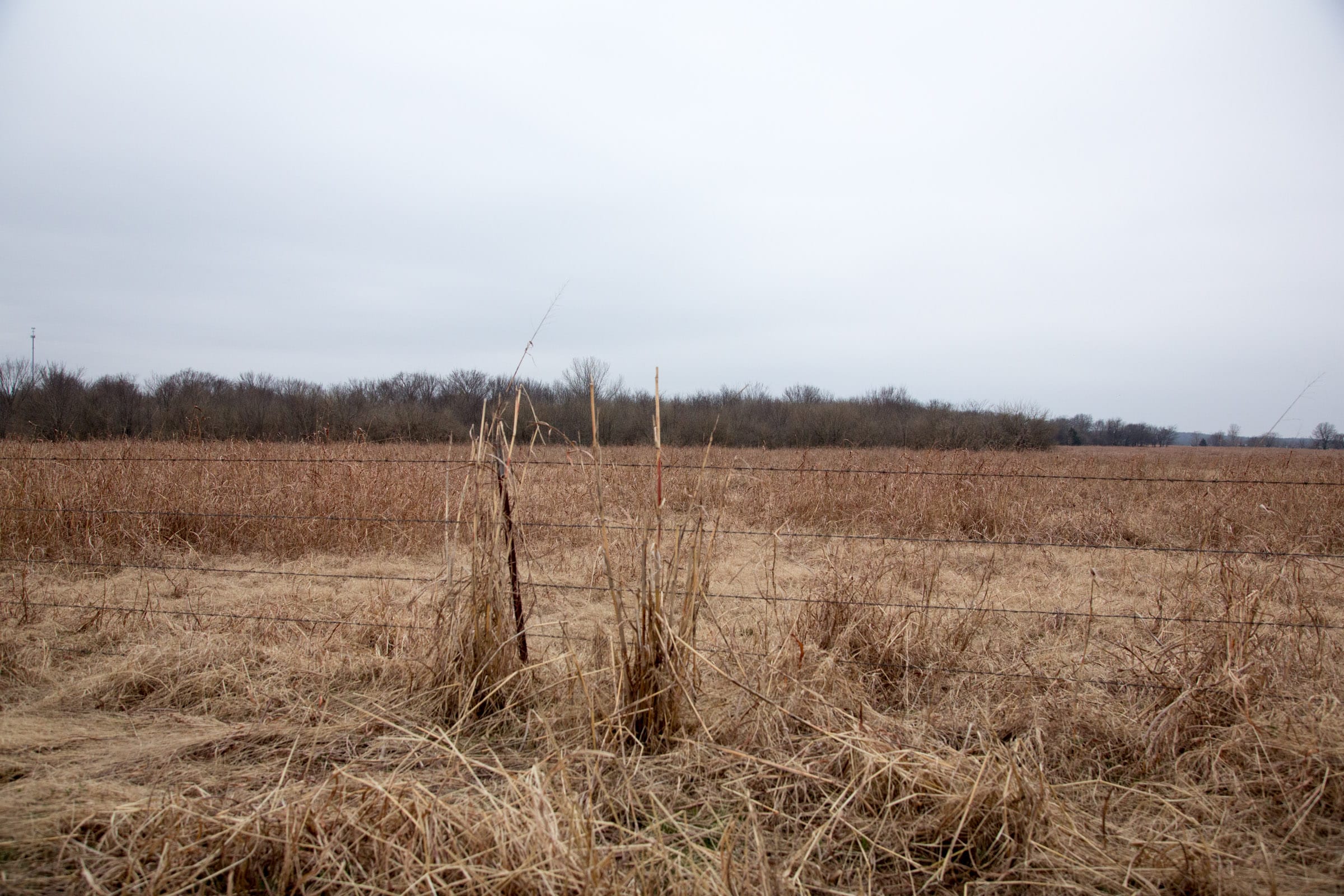 Canadian Plains Tract 31 photo 6
