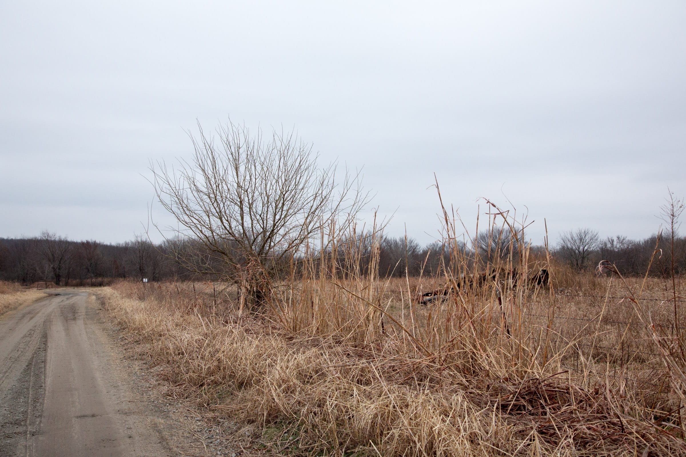 Canadian Plains Tract 31 photo 7