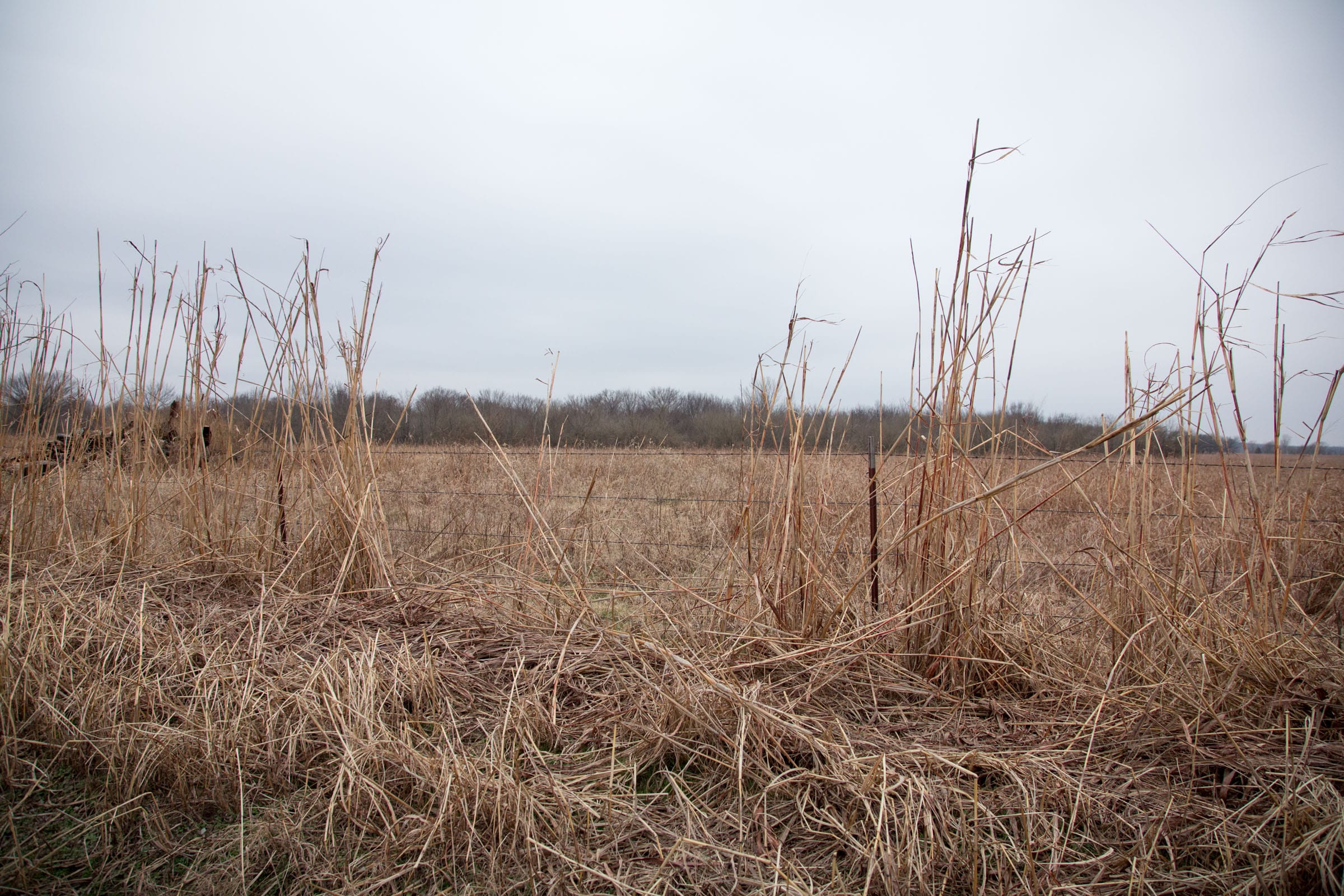 Canadian Plains Tract 31 photo 9