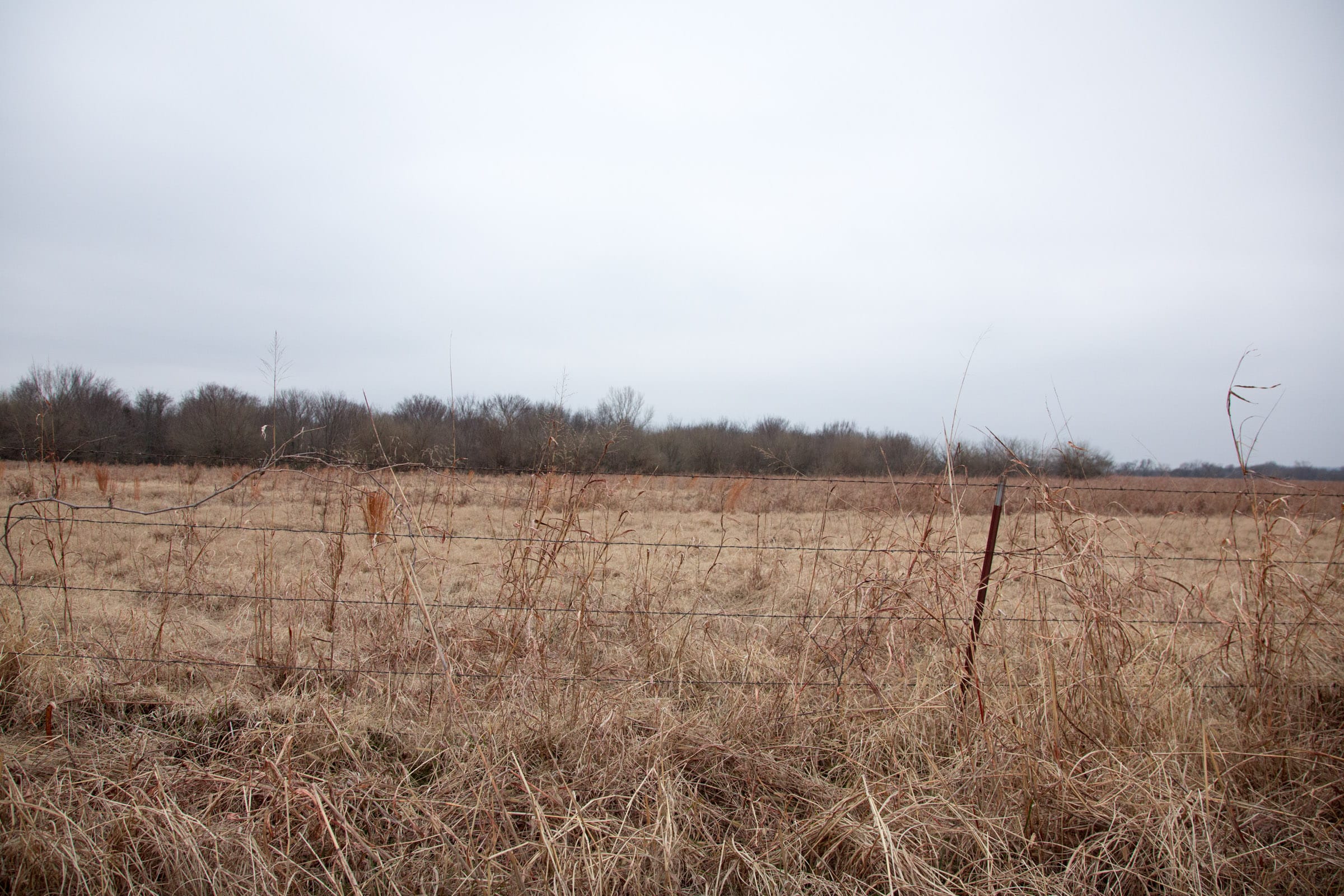 Canadian Plains Tract 31 photo 11