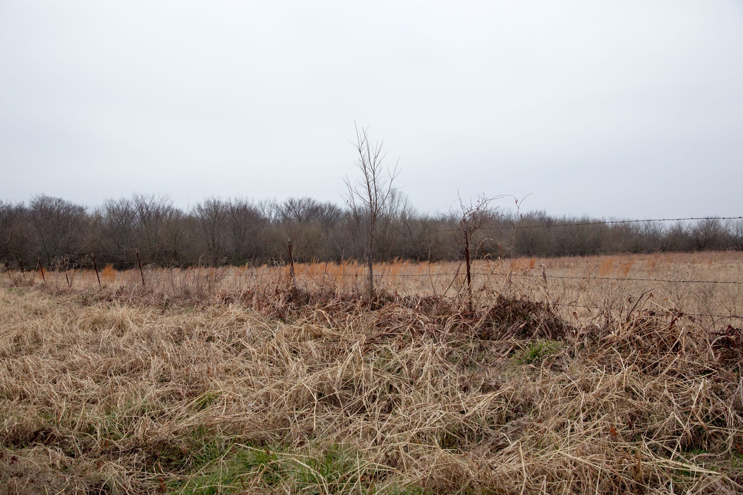 Canadian Plains Tract 31 photo 12