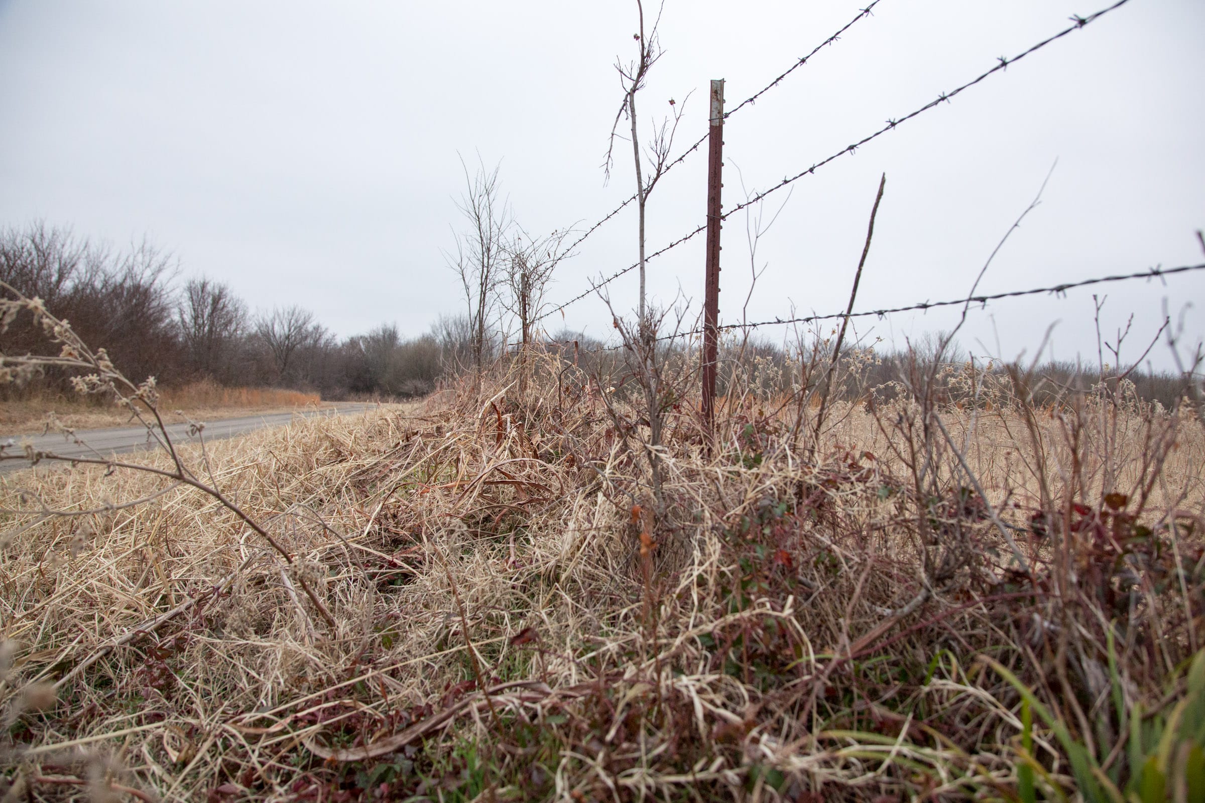 Canadian Plains Tract 31 photo 13