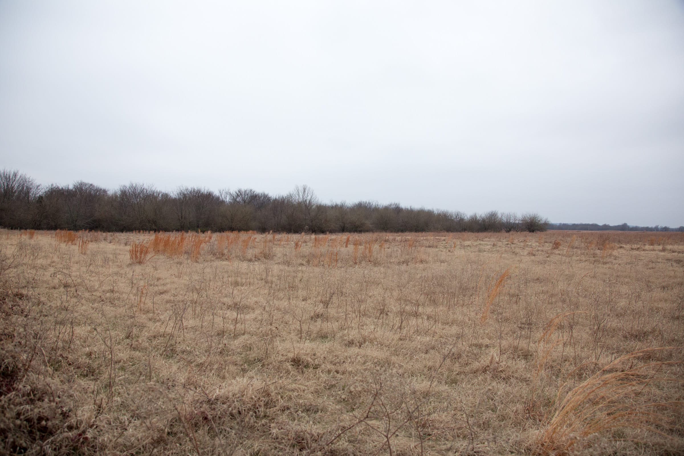 Canadian Plains Tract 31 photo 14