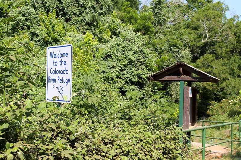 Tahitian Village Tract 961 photo 4