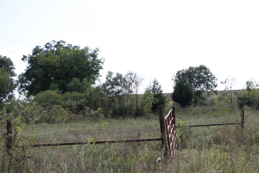 Cowboy Meadows Tract 6 photo 2