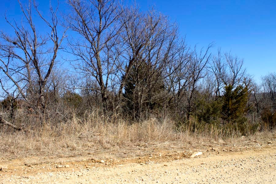 Cowboy Meadows Tract 6 photo 7