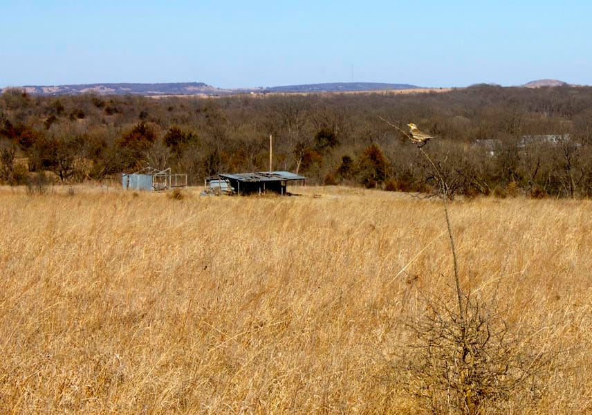 Cowboy Meadows Tract 6 photo 12