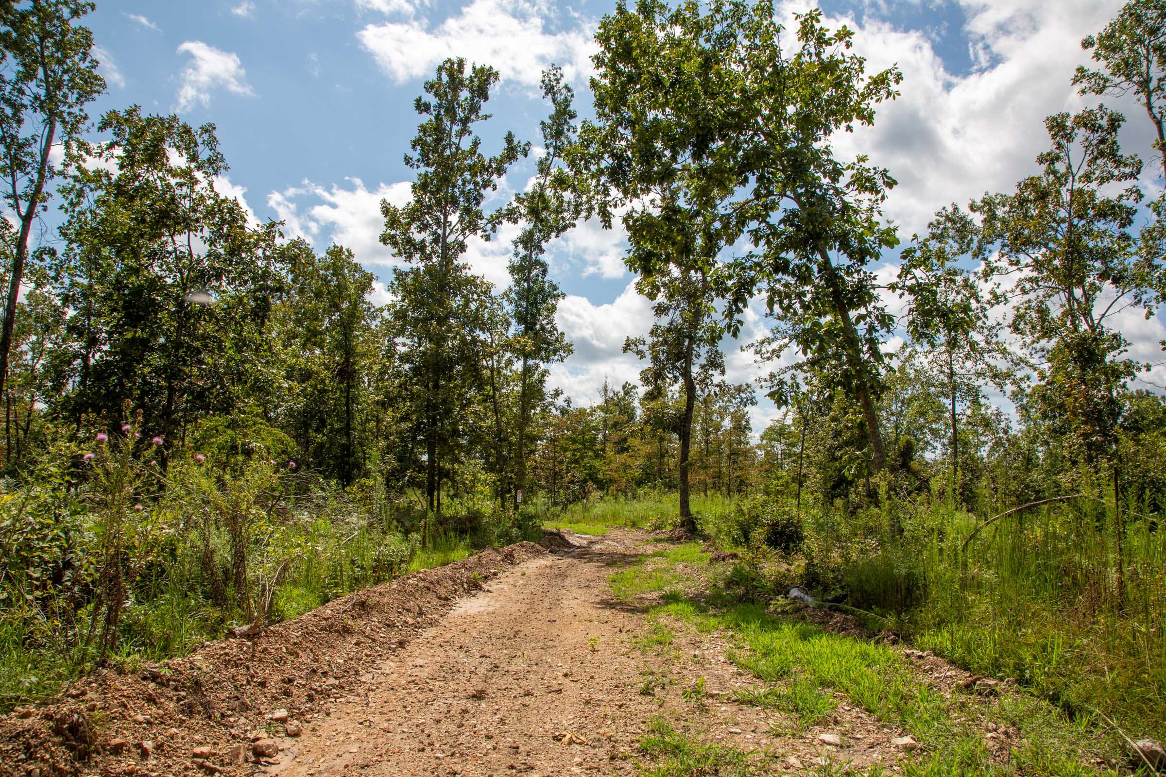 Borgmann’s Hollow Phase II Tract 51 photo 2