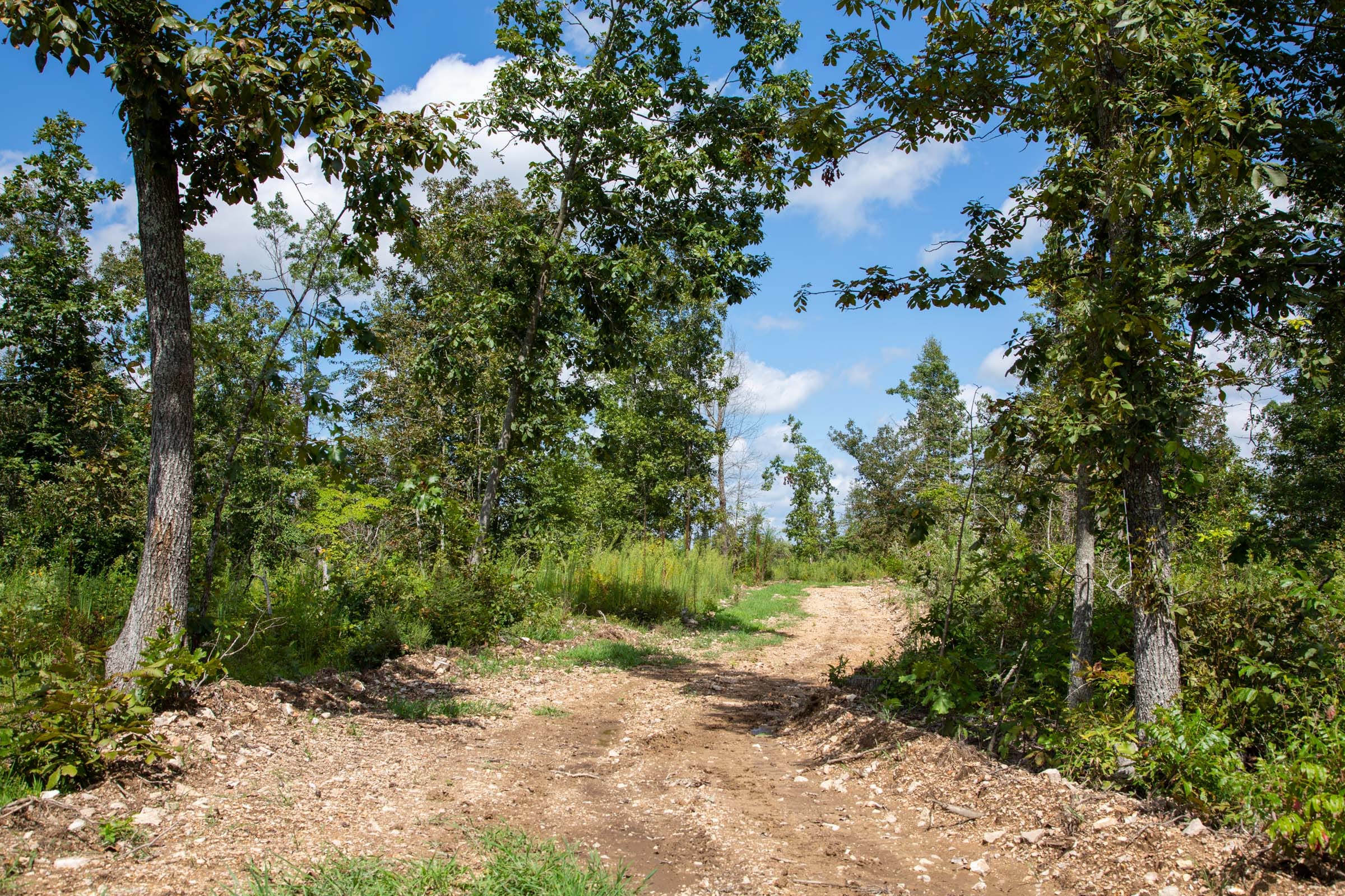 Borgmann’s Hollow Phase II Tract 51 photo 9
