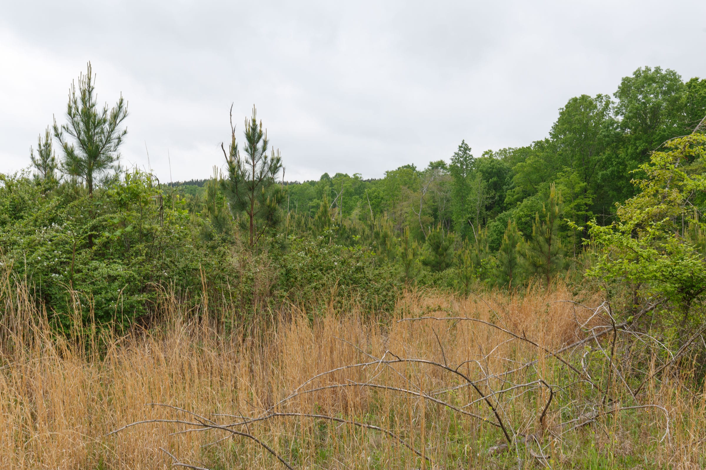 Red Barn Ranch Tract 16 photo 5