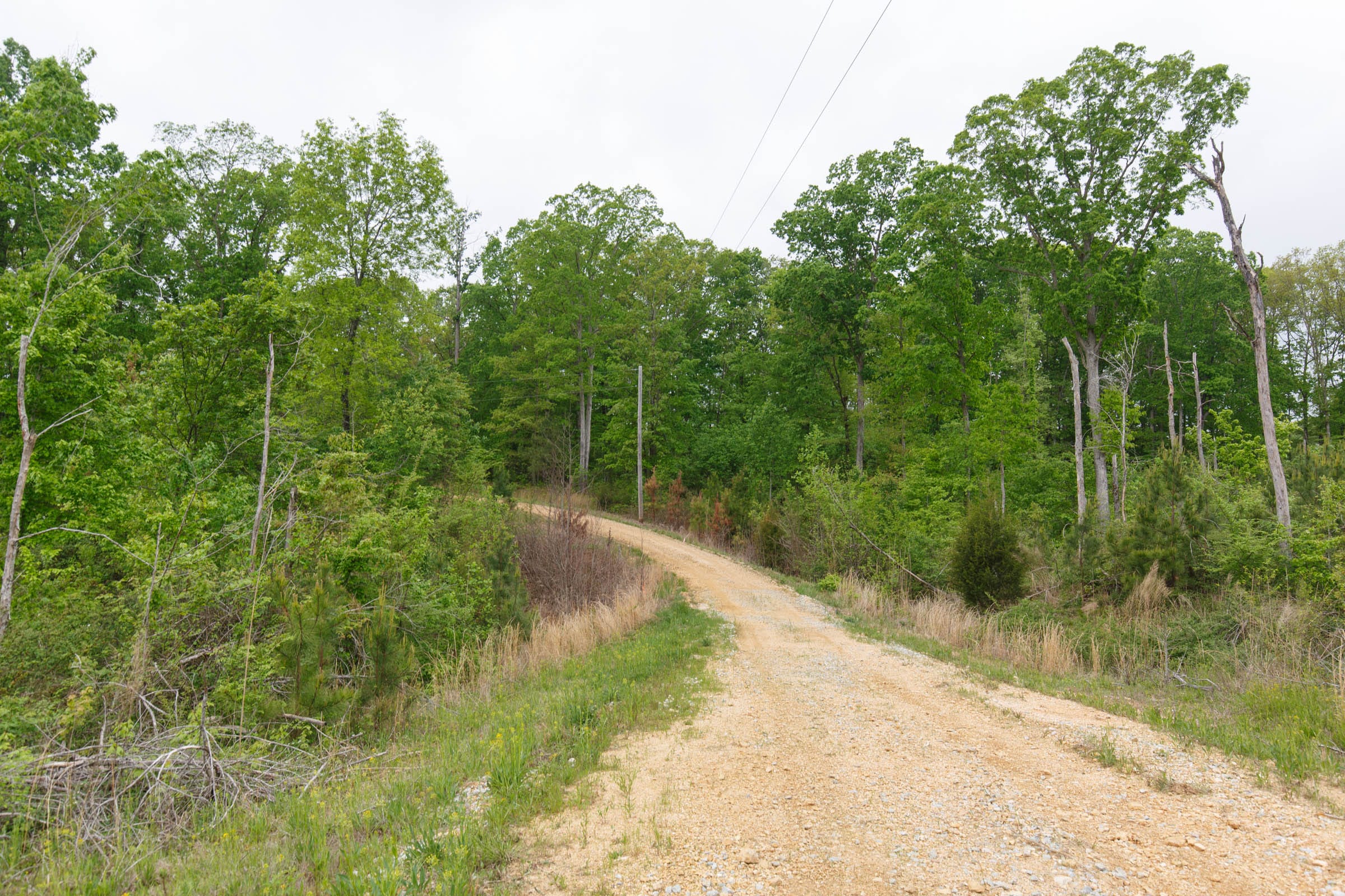 Red Barn Ranch Tract 16 photo 4