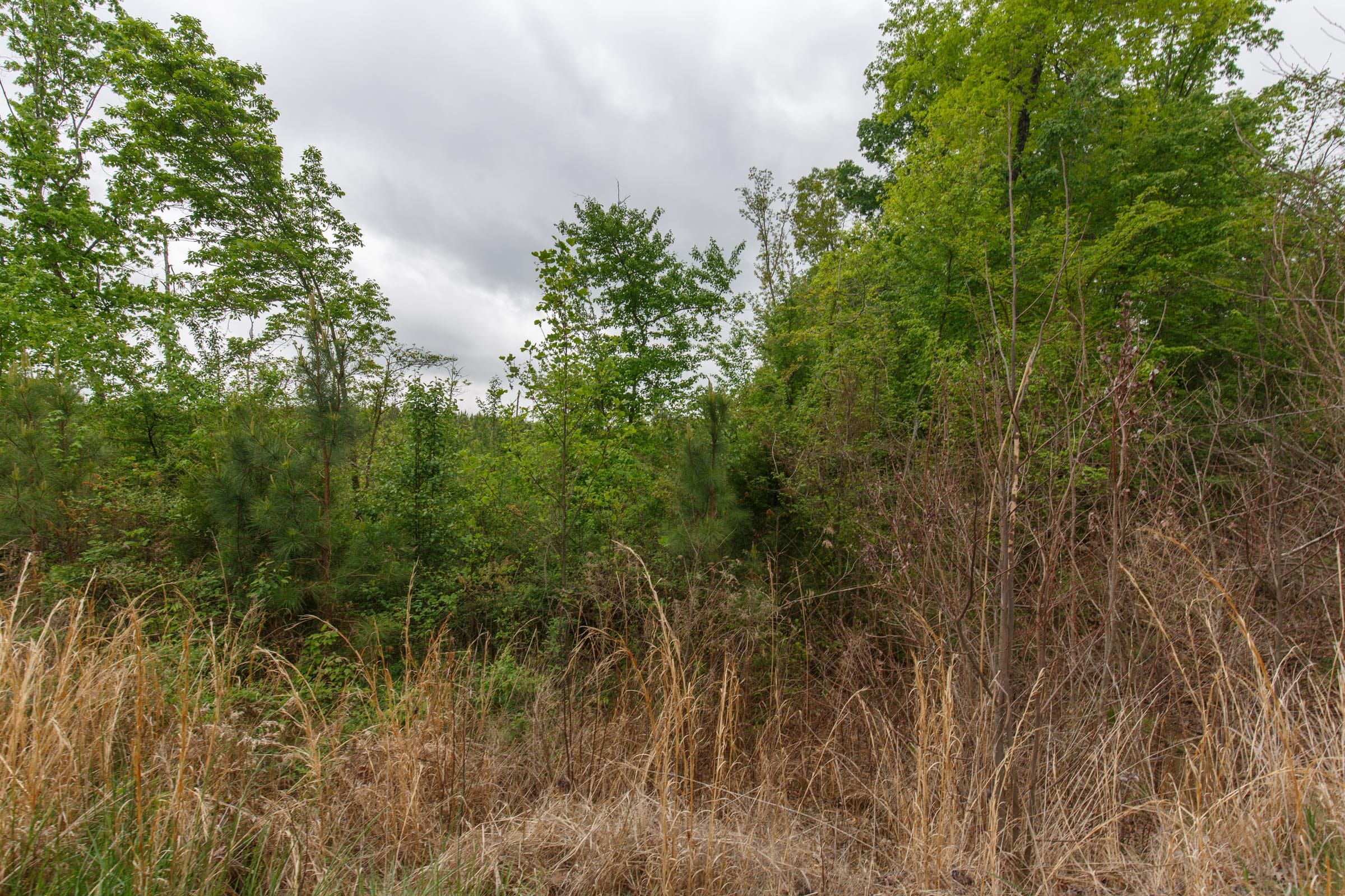 Red Barn Ranch Tract 16 photo 8