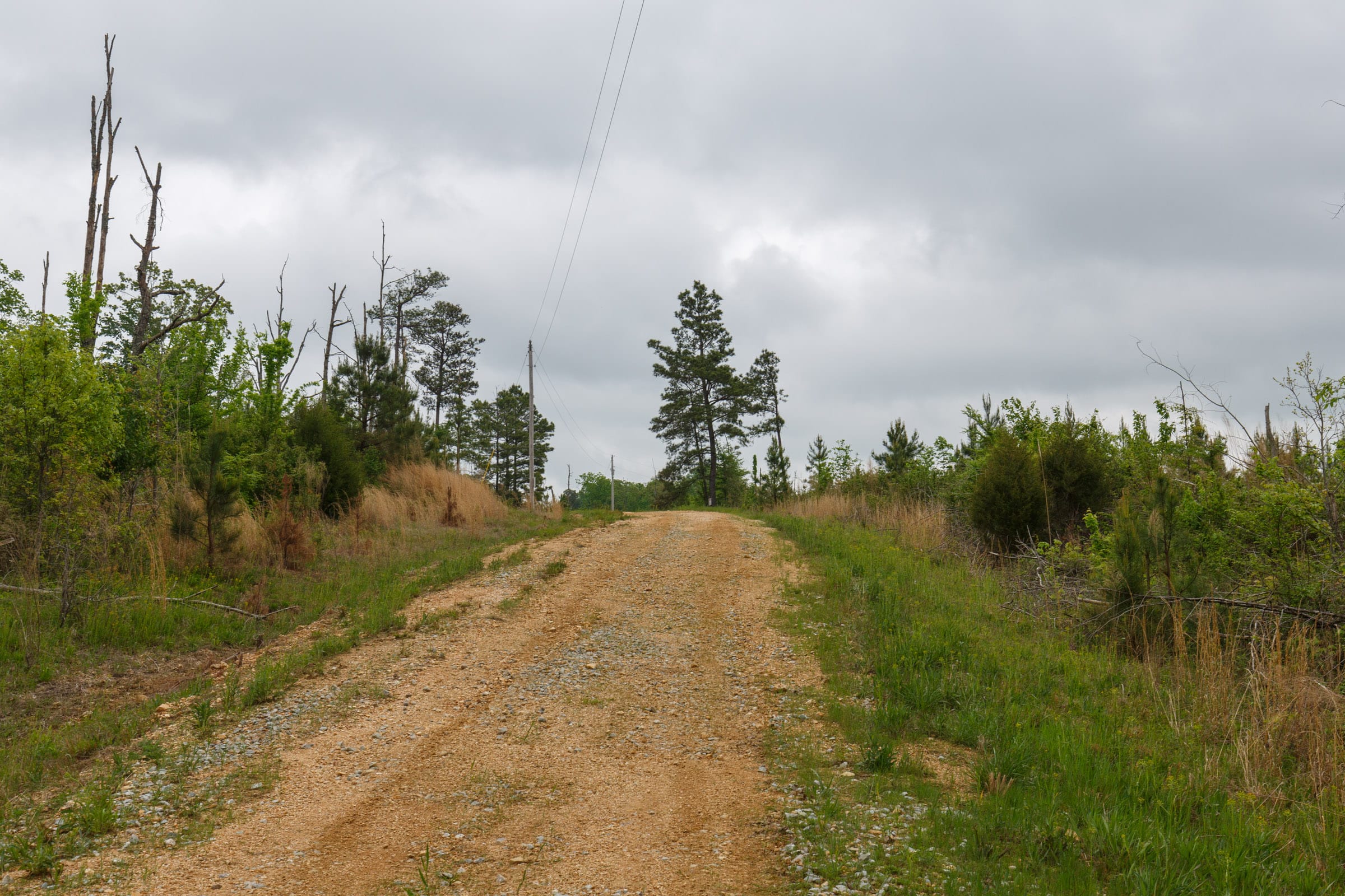 Red Barn Ranch Tract 16 photo 7