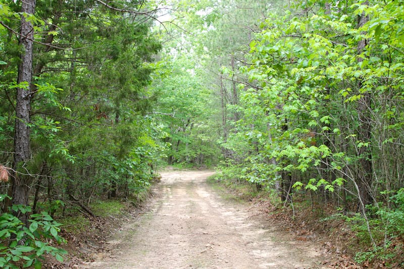 Trophy Ridge Phase II Tract 73 photo 1