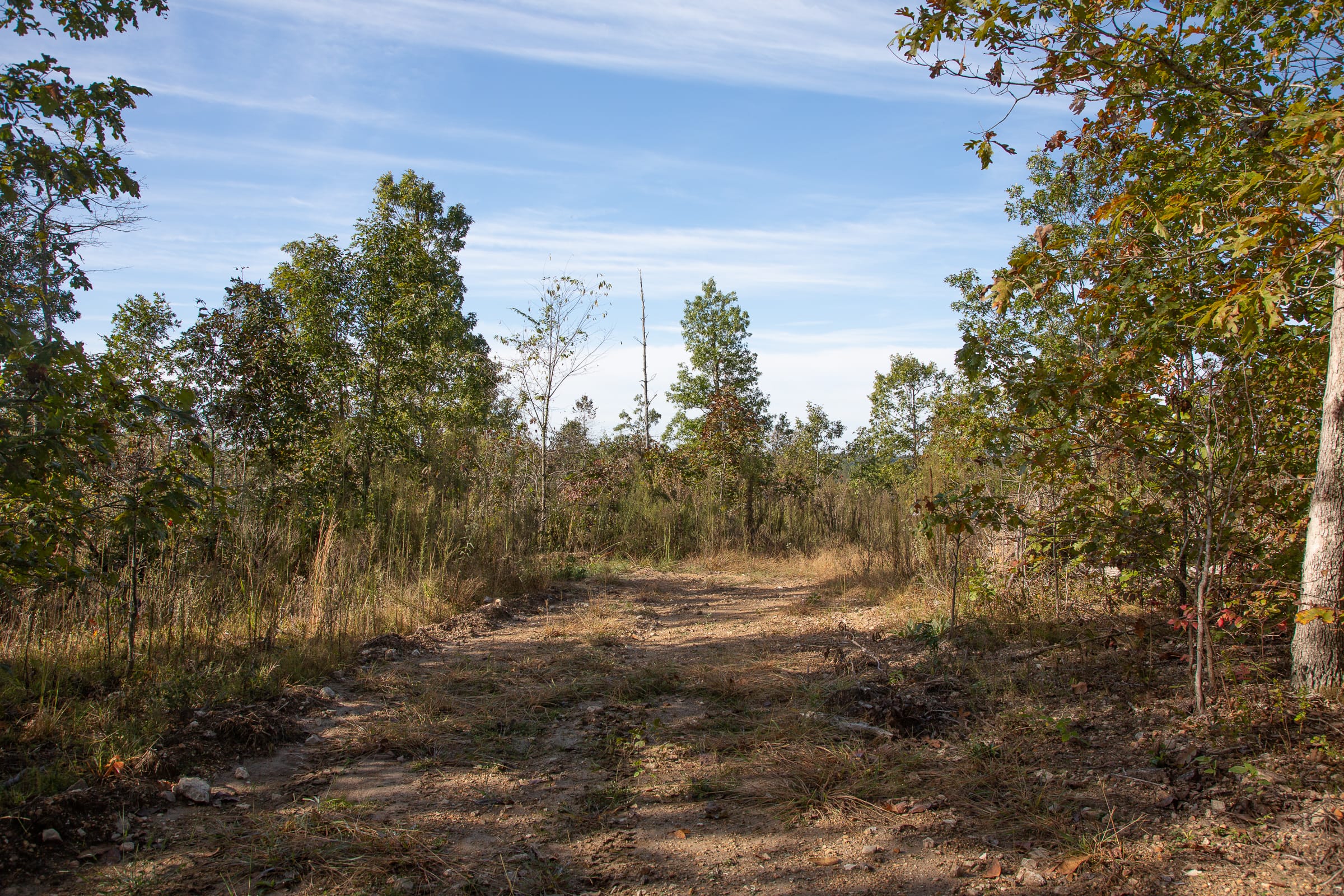 Borgmann’s Hollow Phase IV Tract 125 photo 3