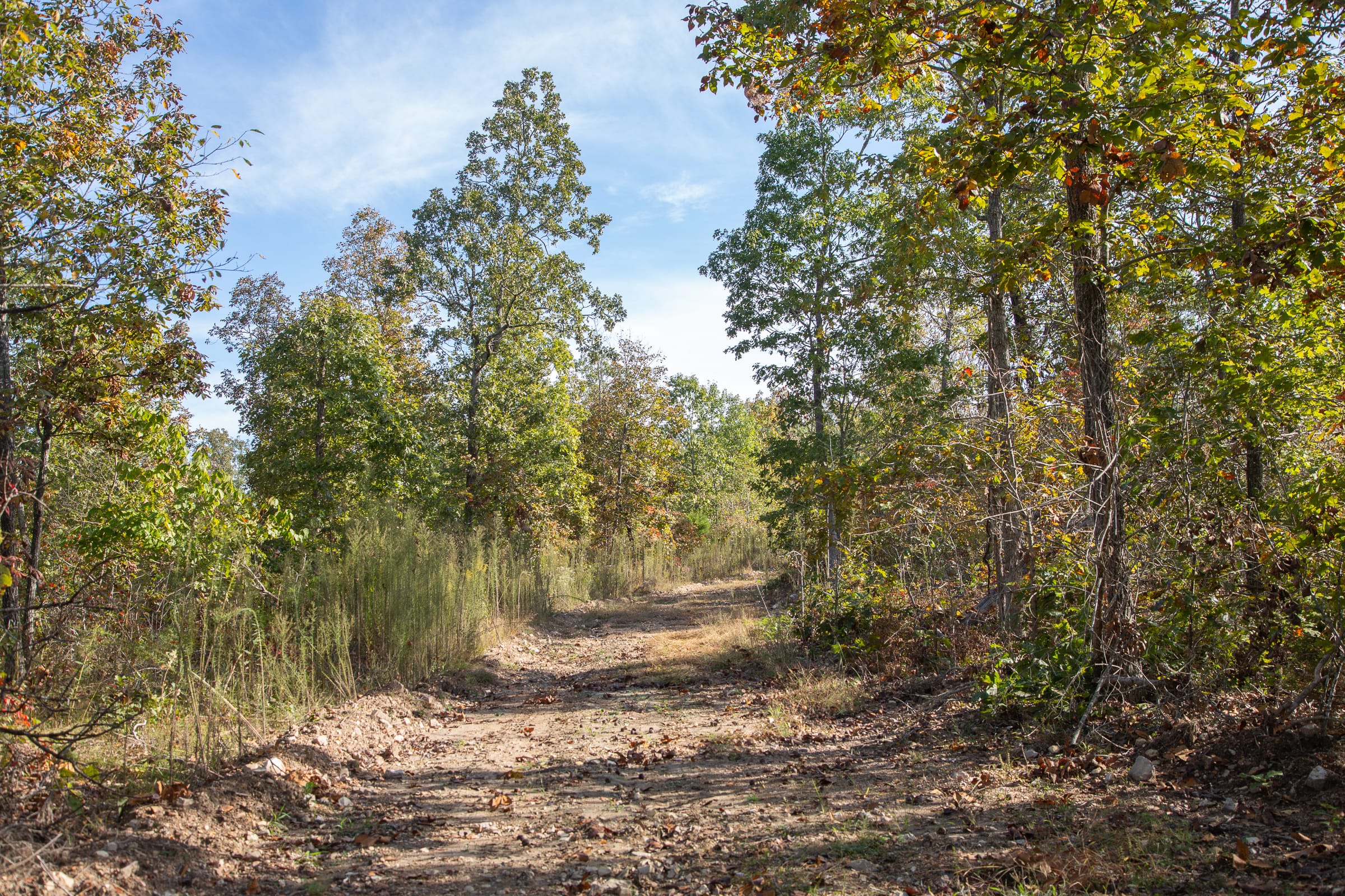 Borgmann’s Hollow Phase IV Tract 125 photo 4