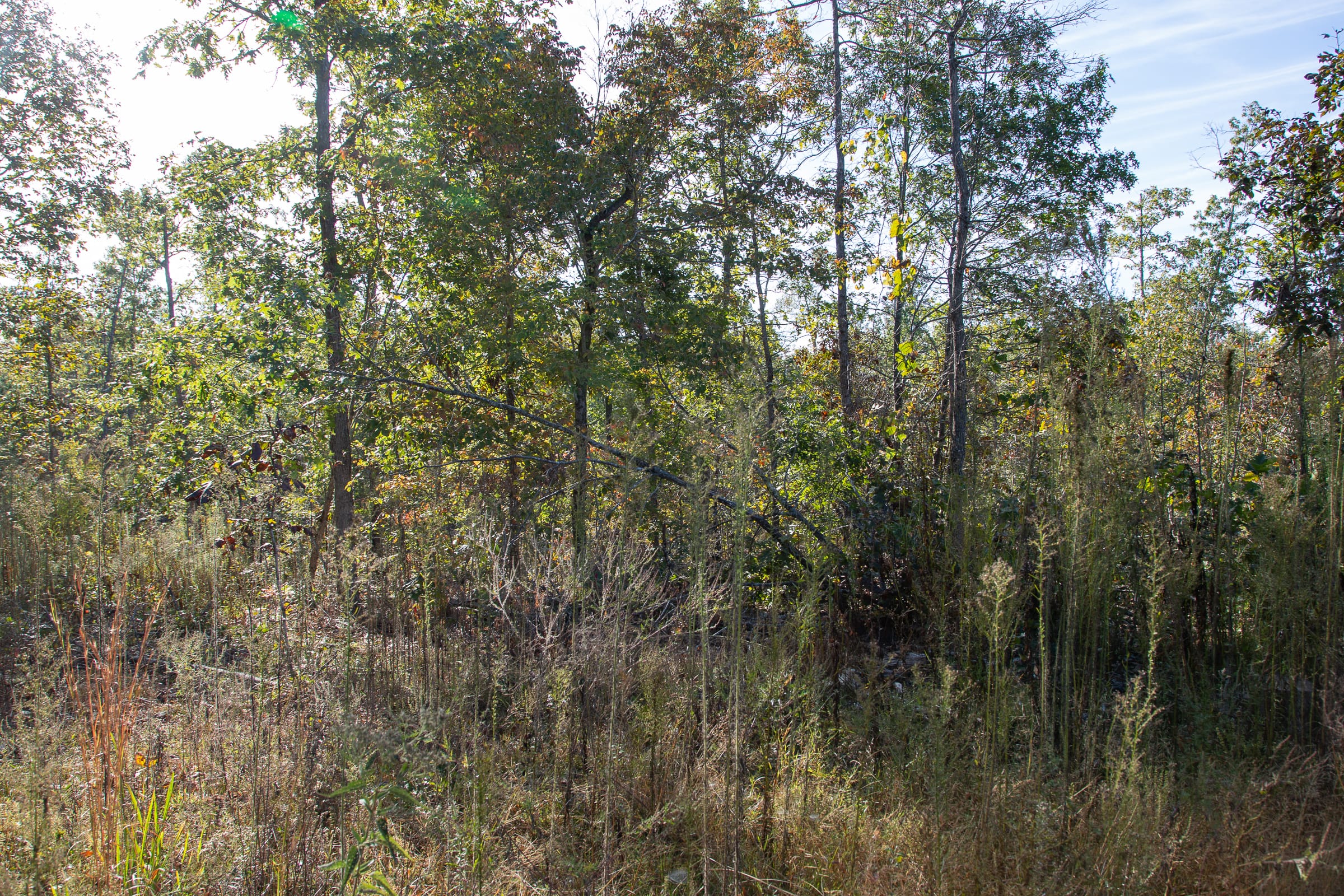 Borgmann’s Hollow Phase IV Tract 125 photo 5