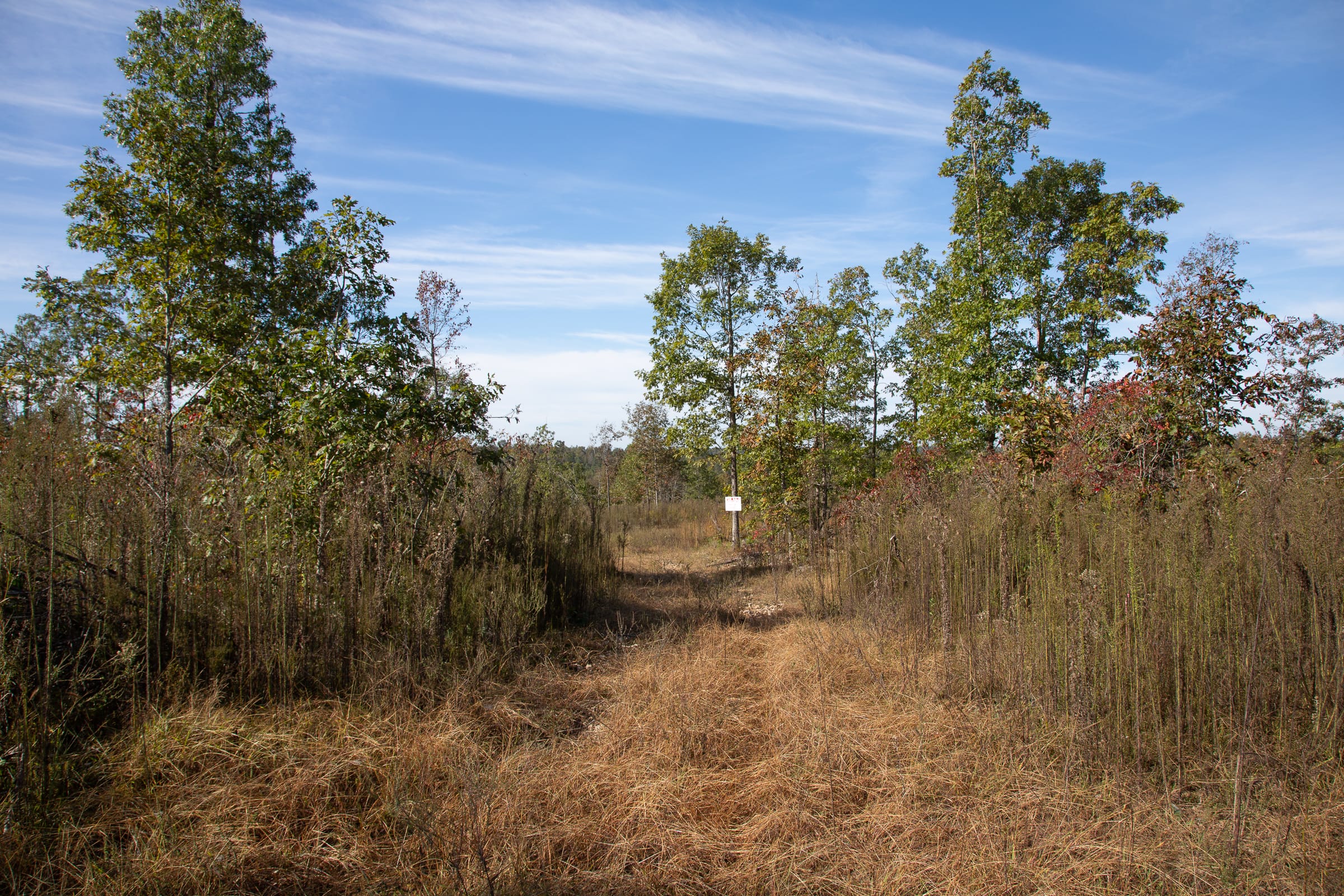Borgmann’s Hollow Phase IV Tract 125 photo 6