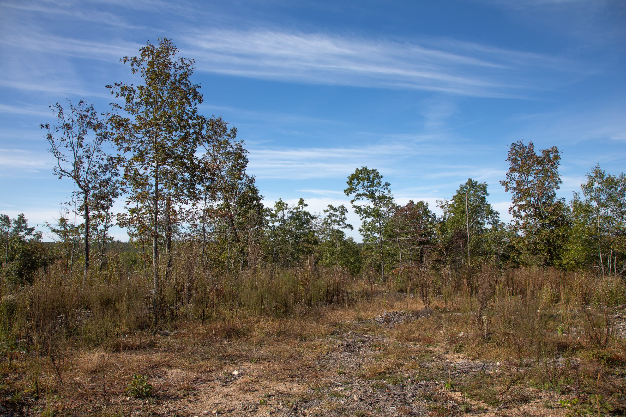 Borgmann’s Hollow Phase IV Tract 125 photo 13