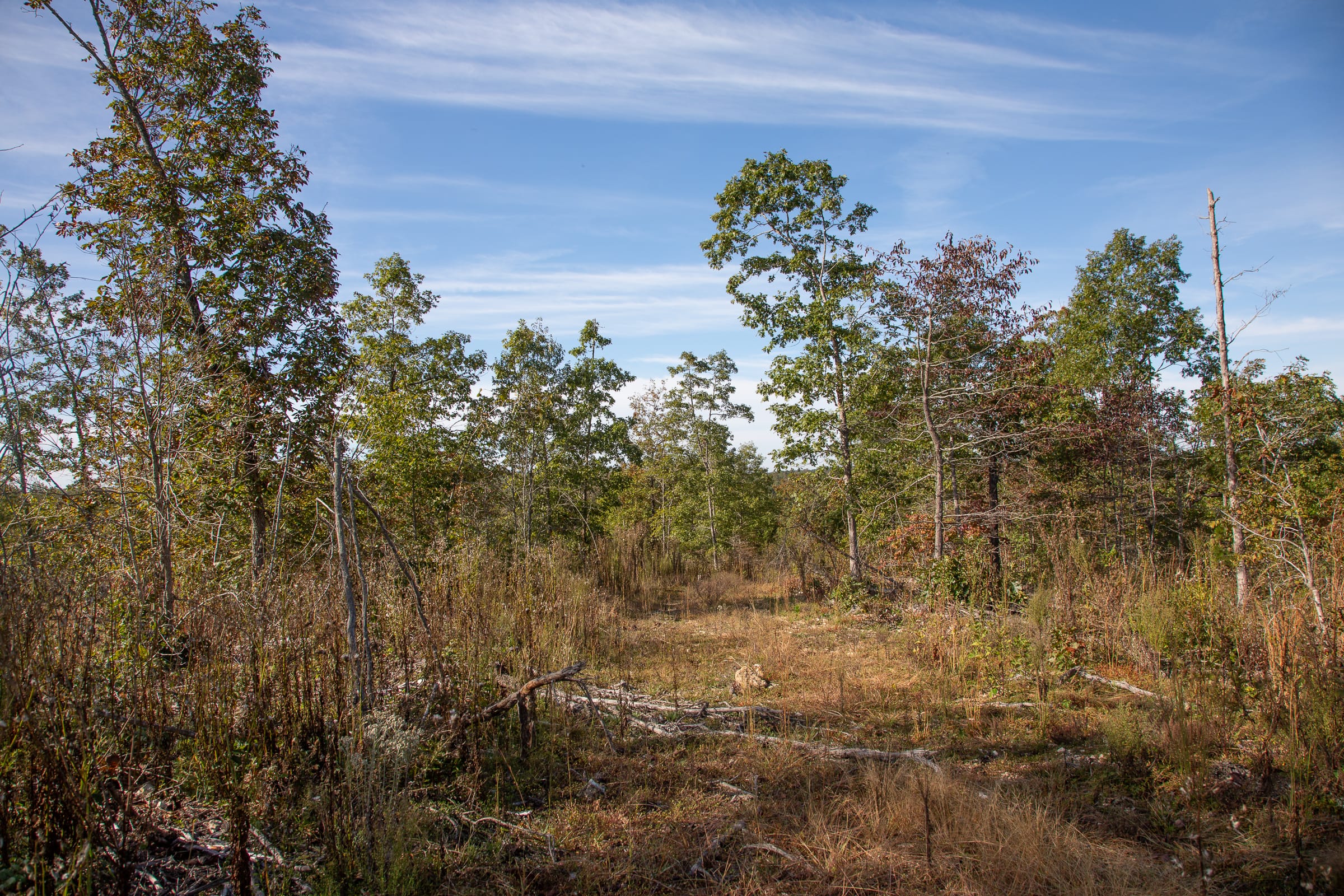 Borgmann’s Hollow Phase IV Tract 125 photo 14