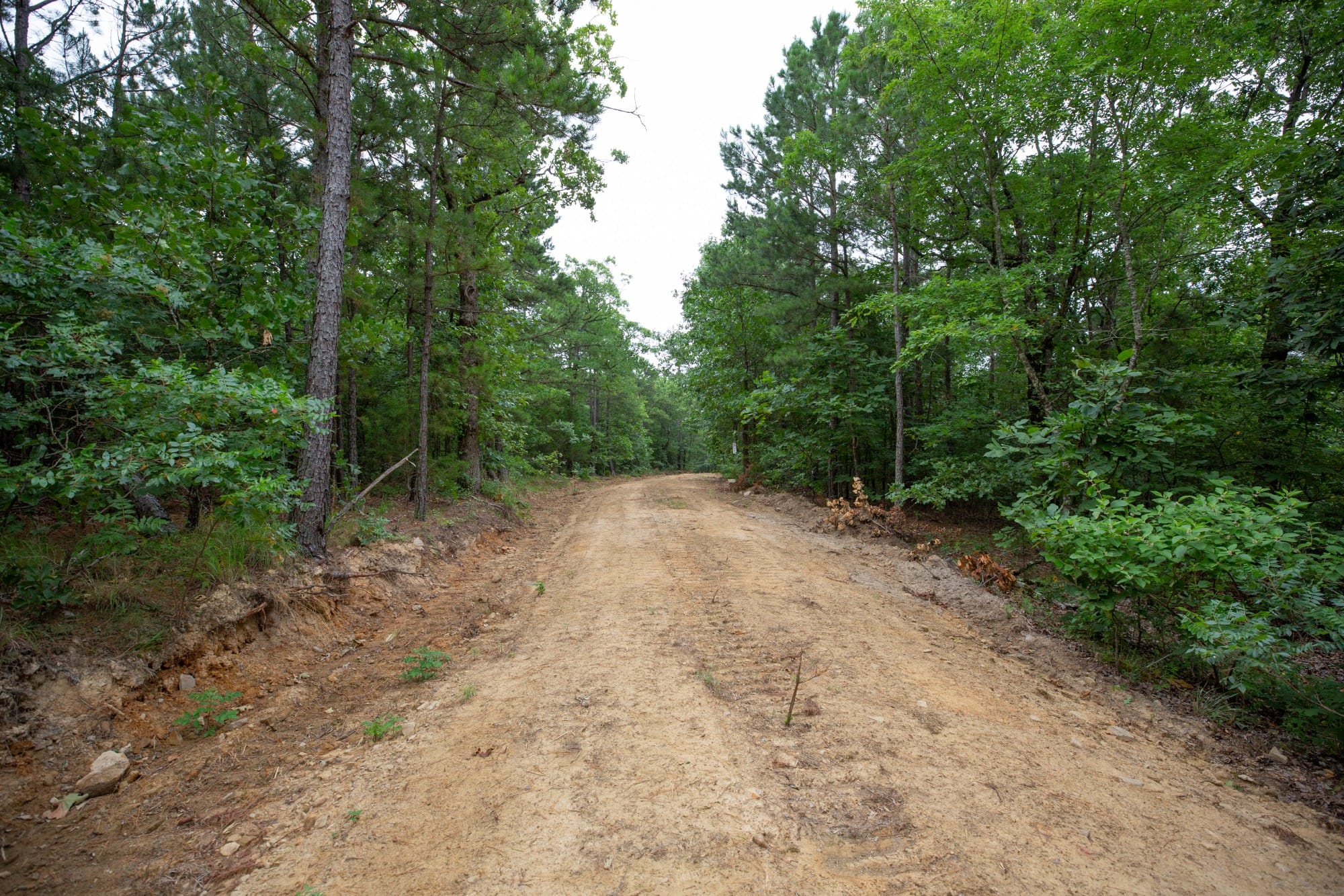 Eagle’s Nest Tract 72 photo 1