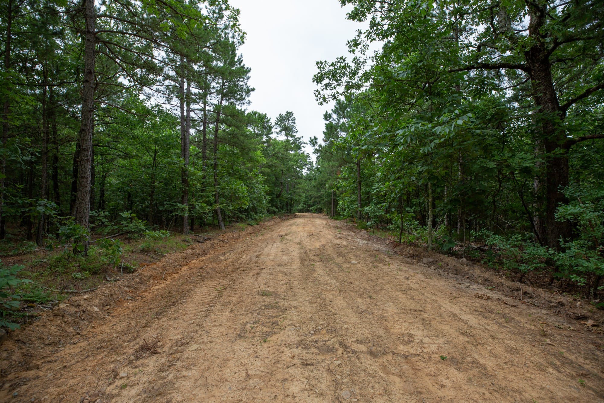 Eagle’s Nest Tract 72 photo 5