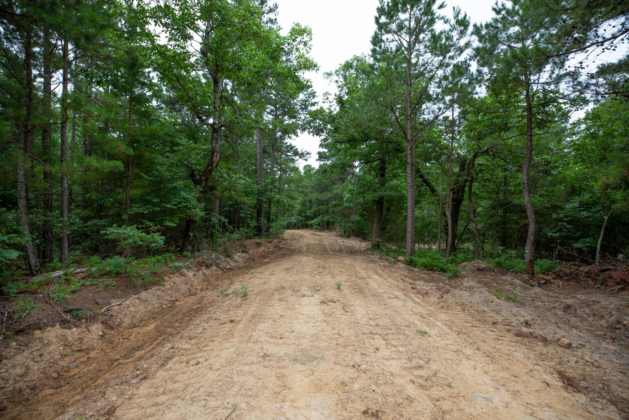 Eagle’s Nest Tract 72 photo 10