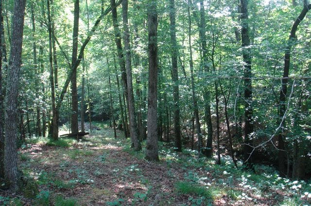 Sugartree Falls Tract 8 photo 1