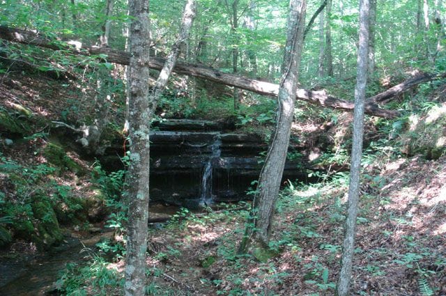 Sugartree Falls Tract 8 photo 4