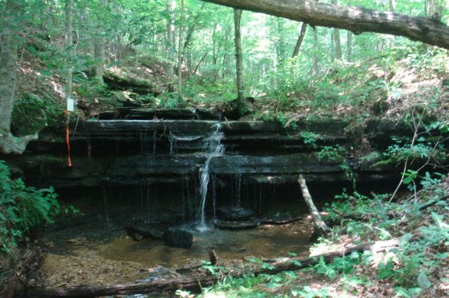 Sugartree Falls Tract 8 photo 7