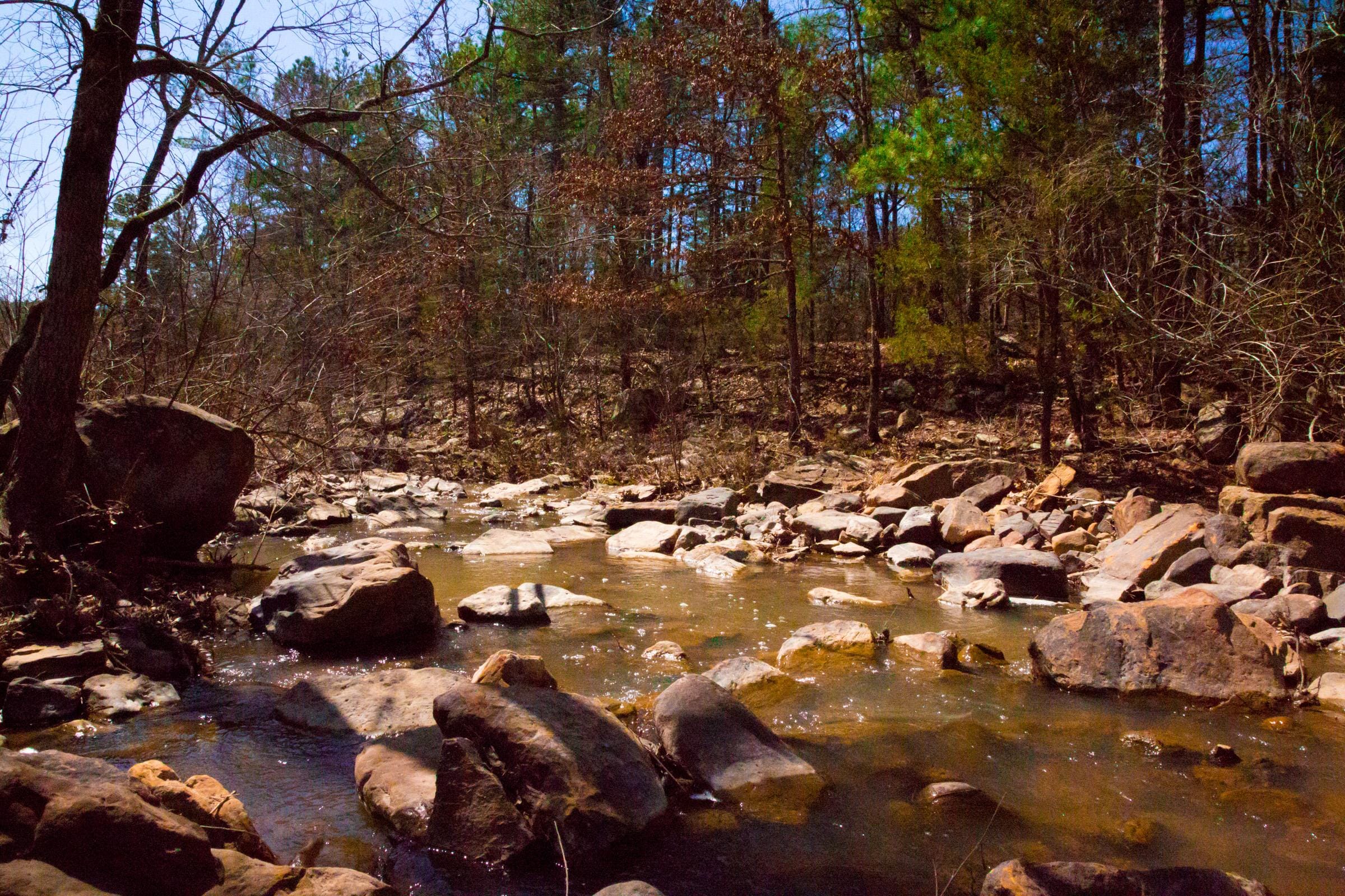 Stone Creek Phase II Tract 199 photo 5