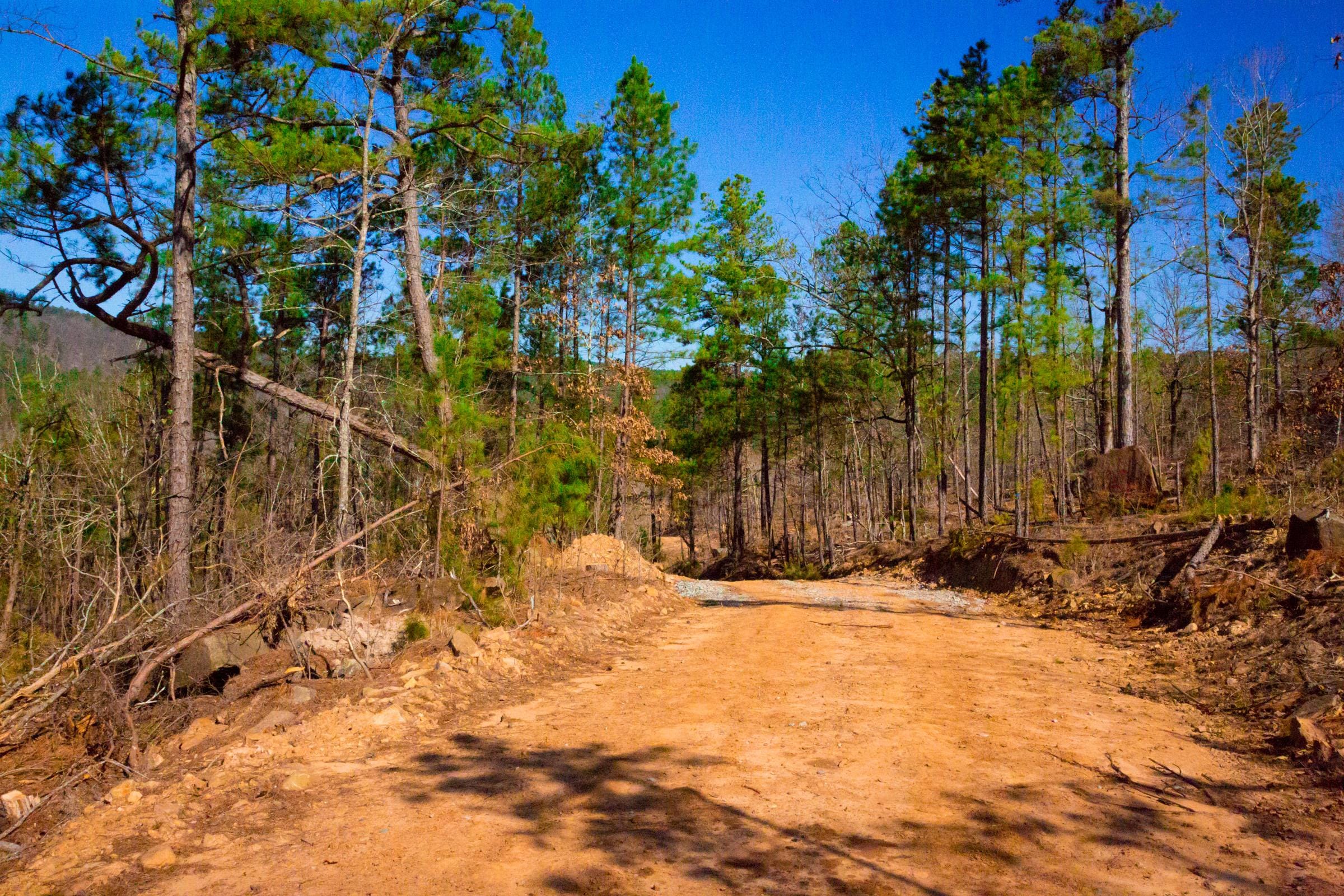 Stone Creek Phase II Tract 199 photo 2