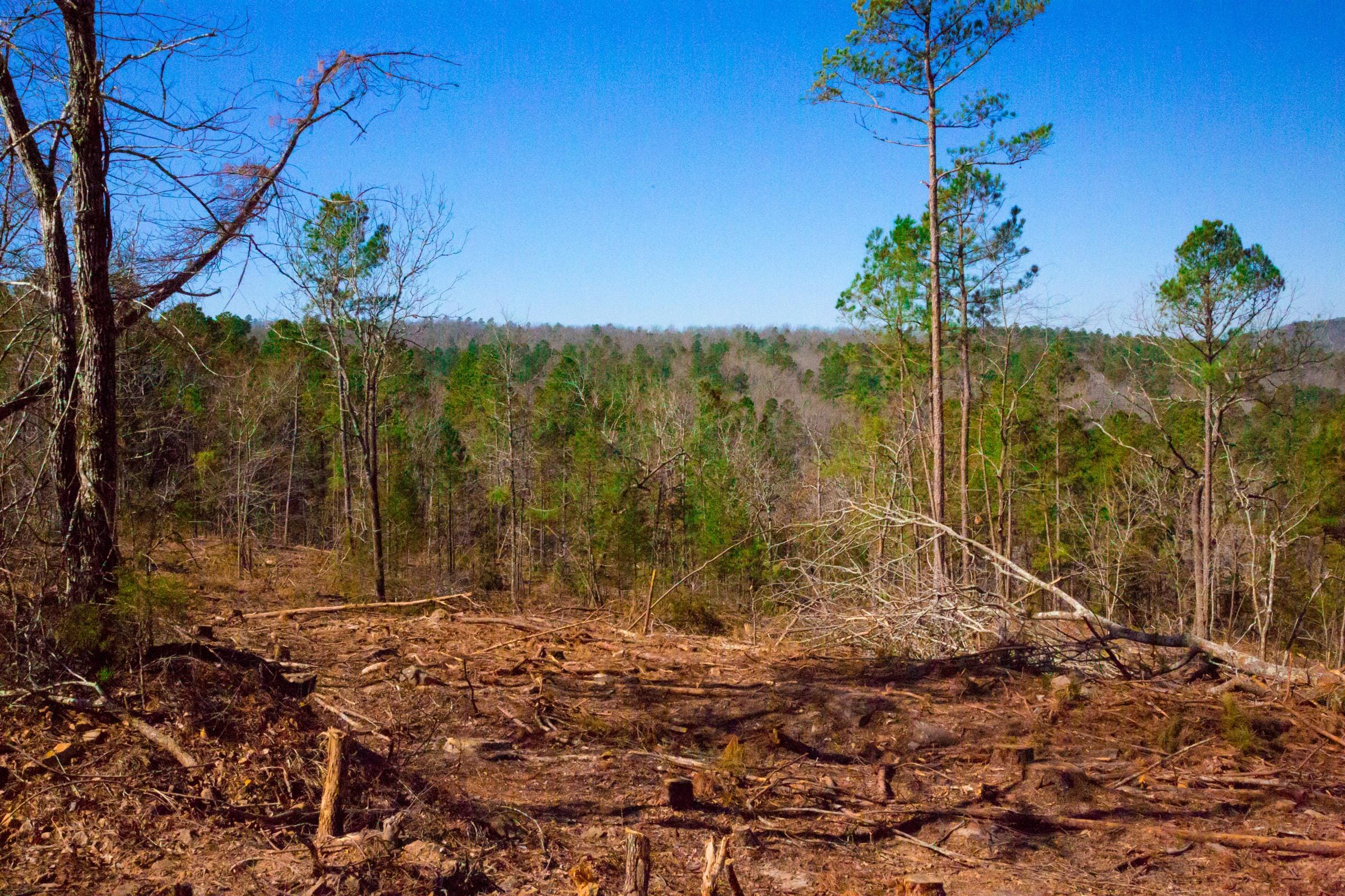 Stone Creek Phase II Tract 199 photo 7