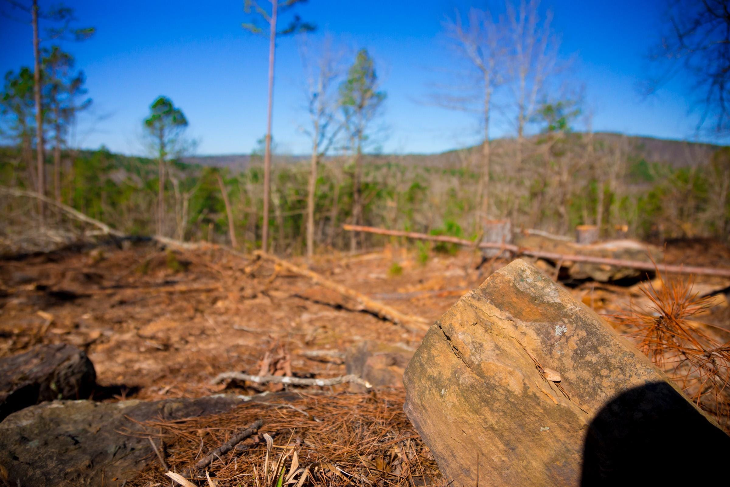 Stone Creek Phase II Tract 199 photo 8