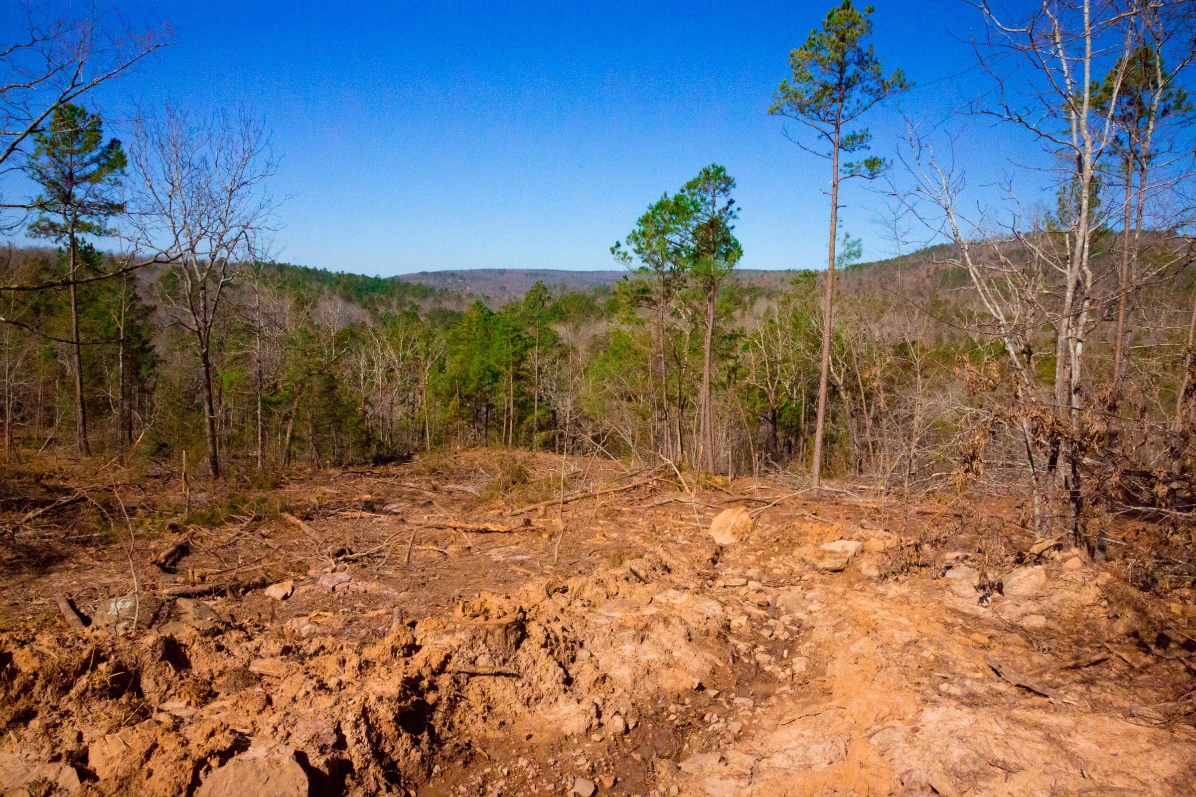 Stone Creek Phase II Tract 199 photo 9
