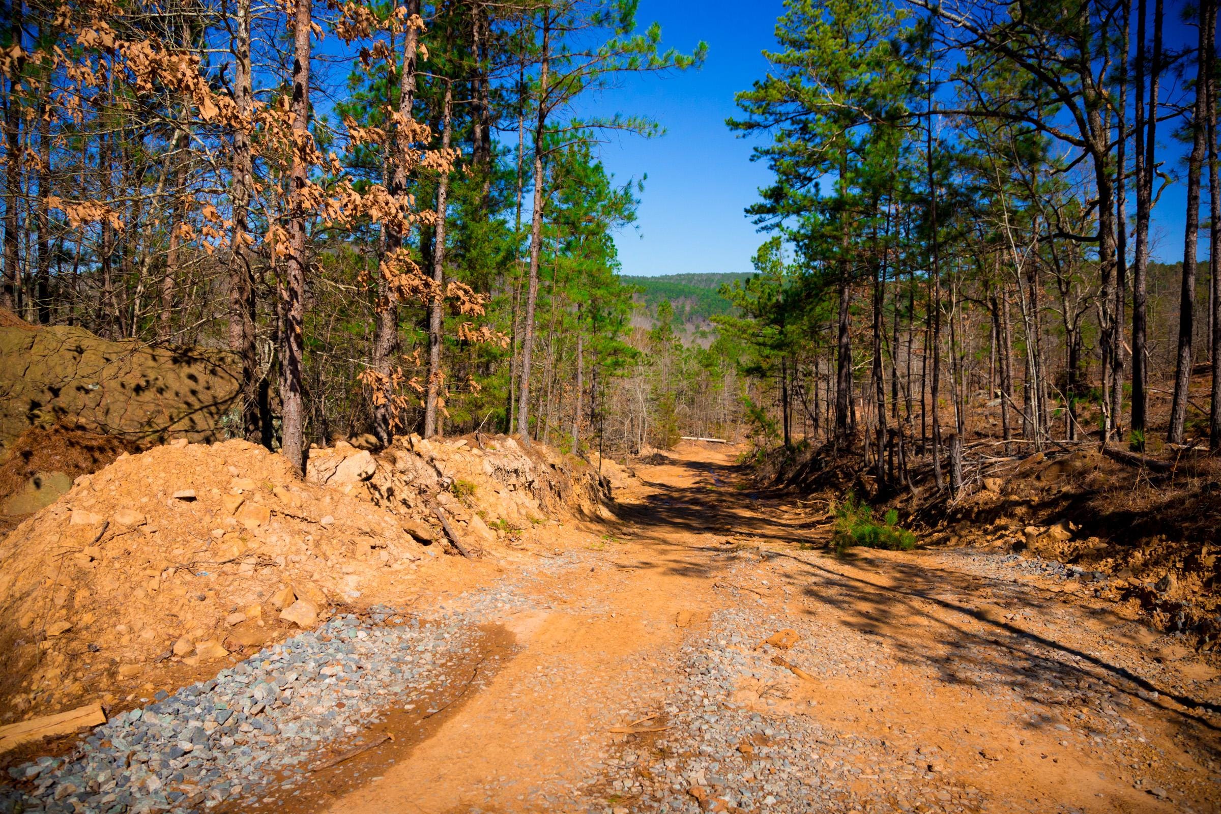 Stone Creek Phase II Tract 199 photo 11