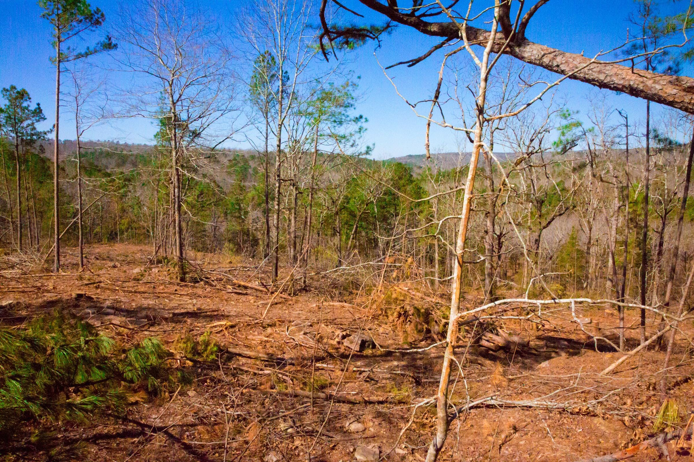 Stone Creek Phase II Tract 199 photo 14