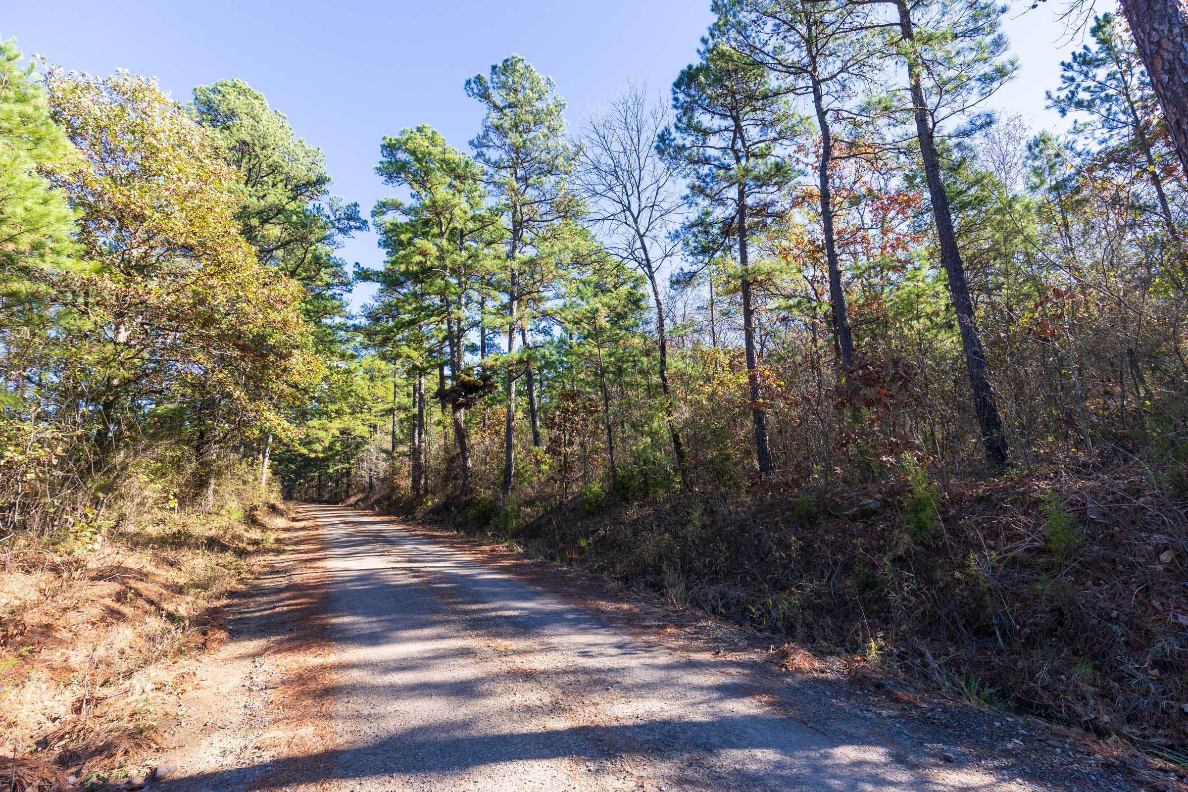 Stone Bridge Reserve Tract 2 photo 9