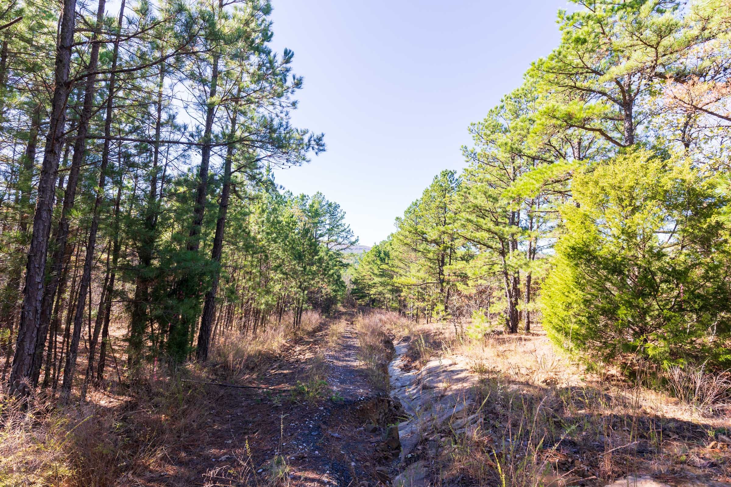 Stone Bridge Reserve Tract 2 photo 11
